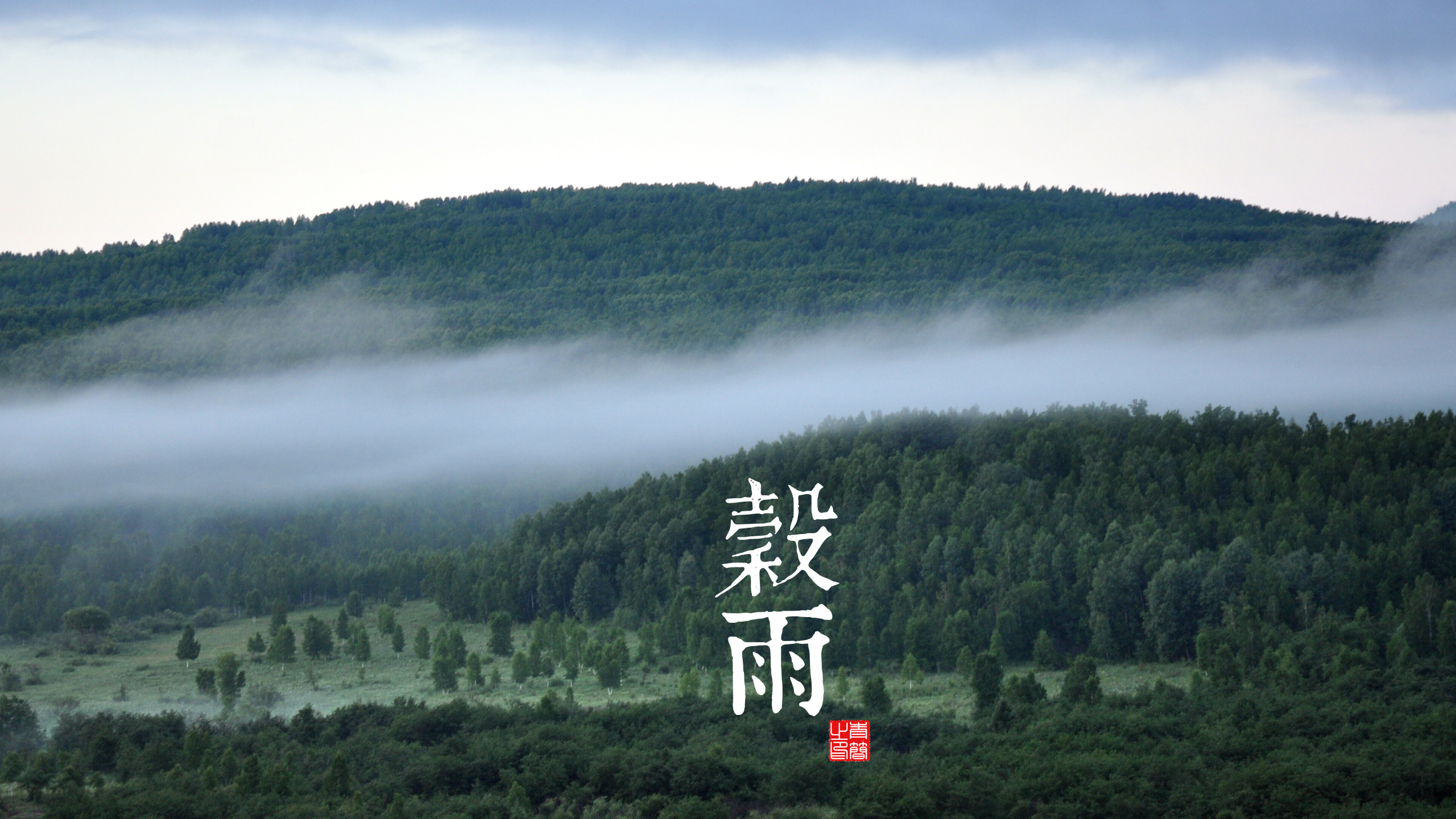 Chinese characters on a misty forest landscape HD Wallpaper