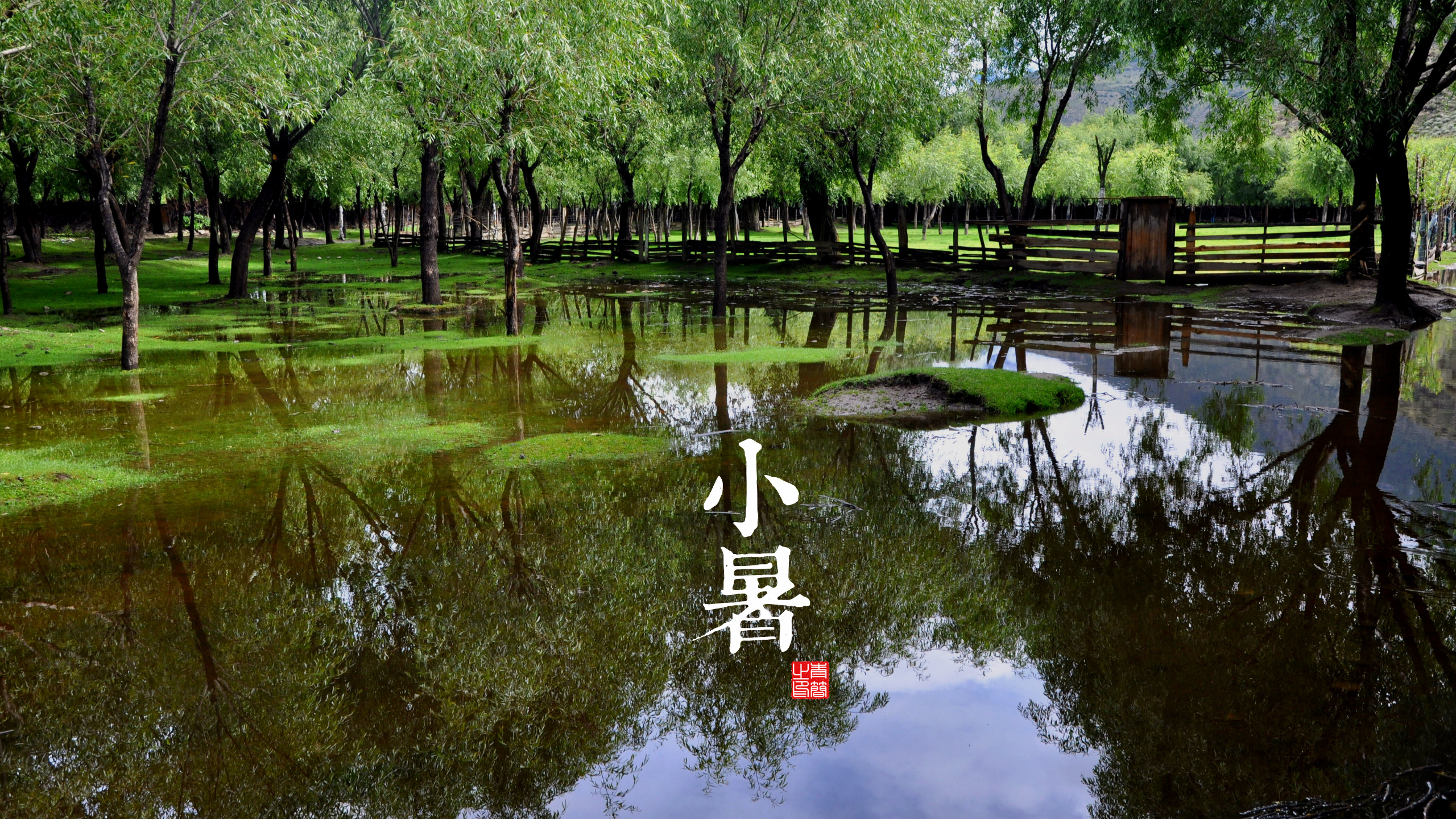 Slight Heat (Xiao Shu) Solar Term HD Wallpaper