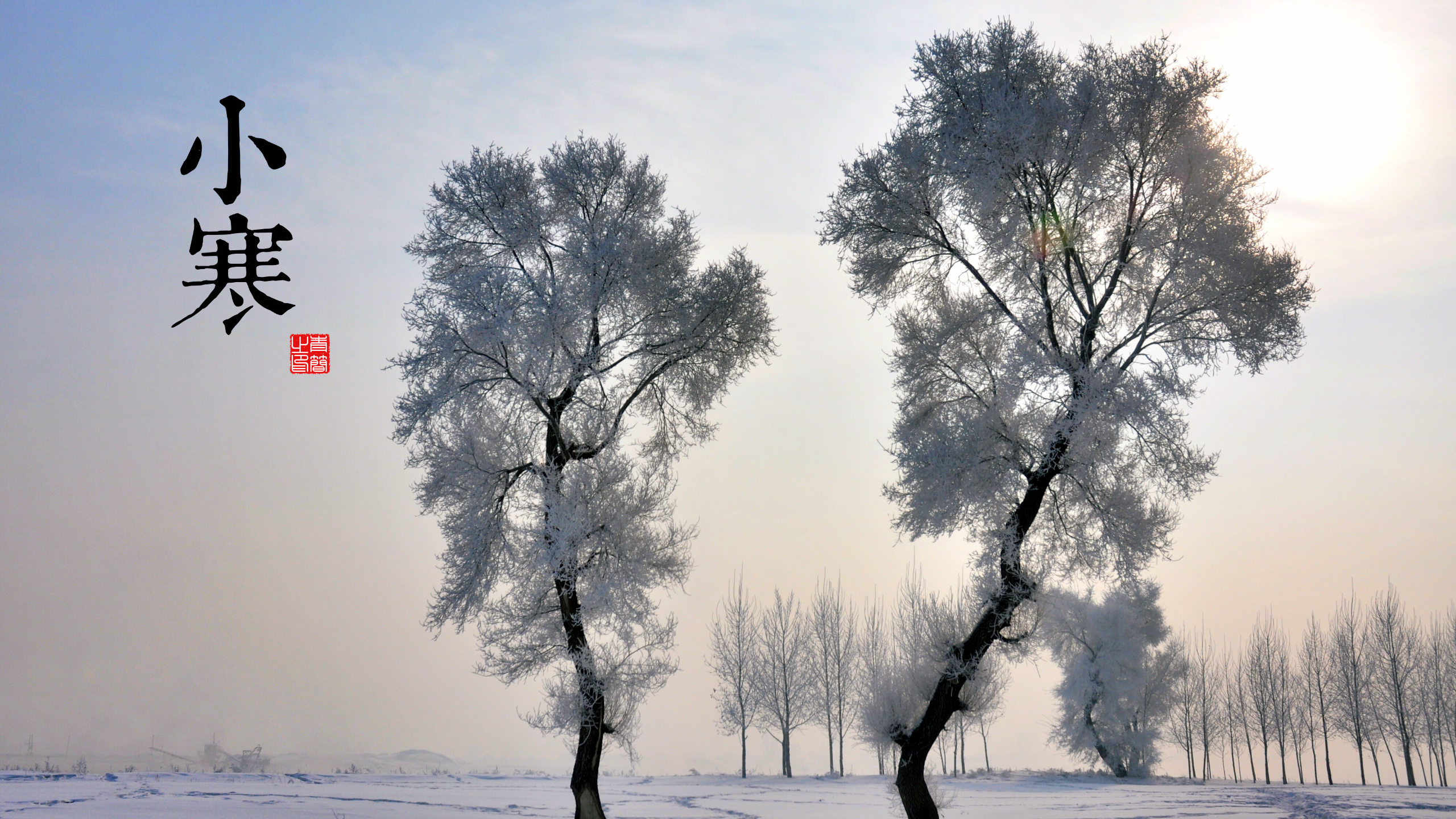 Chinese characters 'Xiao Han' over frosted trees in winter HD Wallpaper
