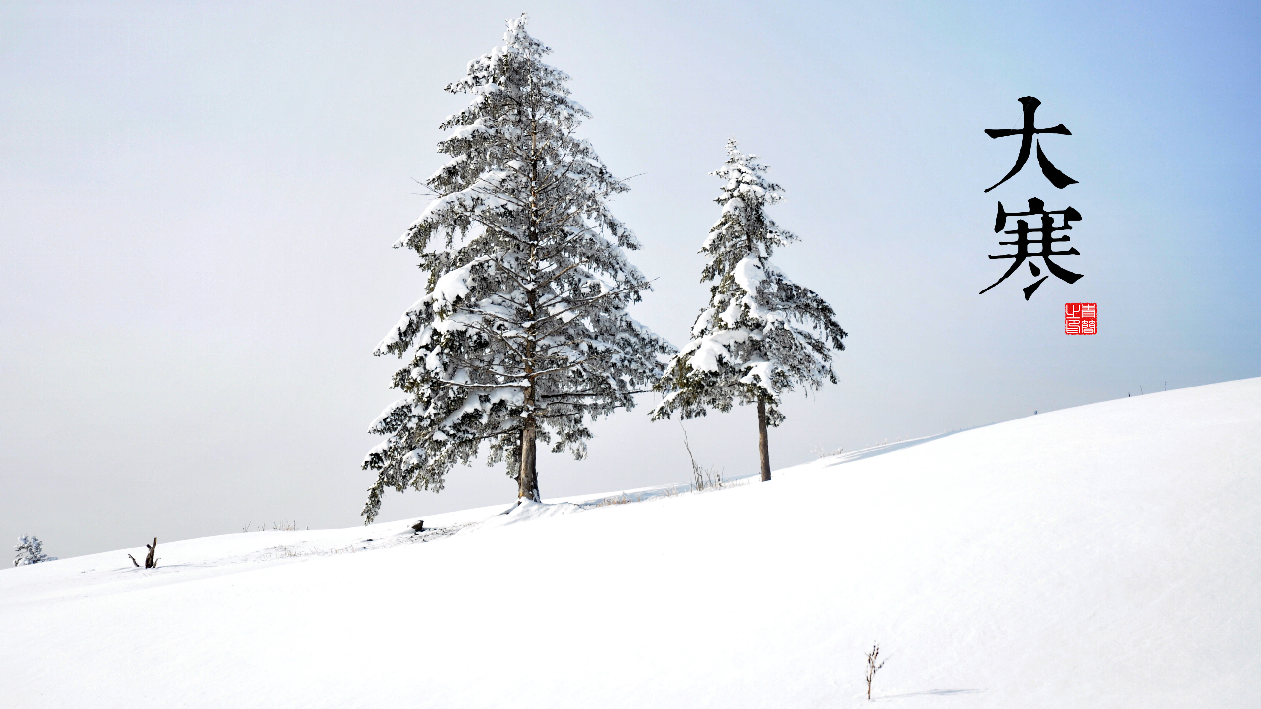 Chinese characters for 'Major Cold' over snowy landscape HD Wallpaper