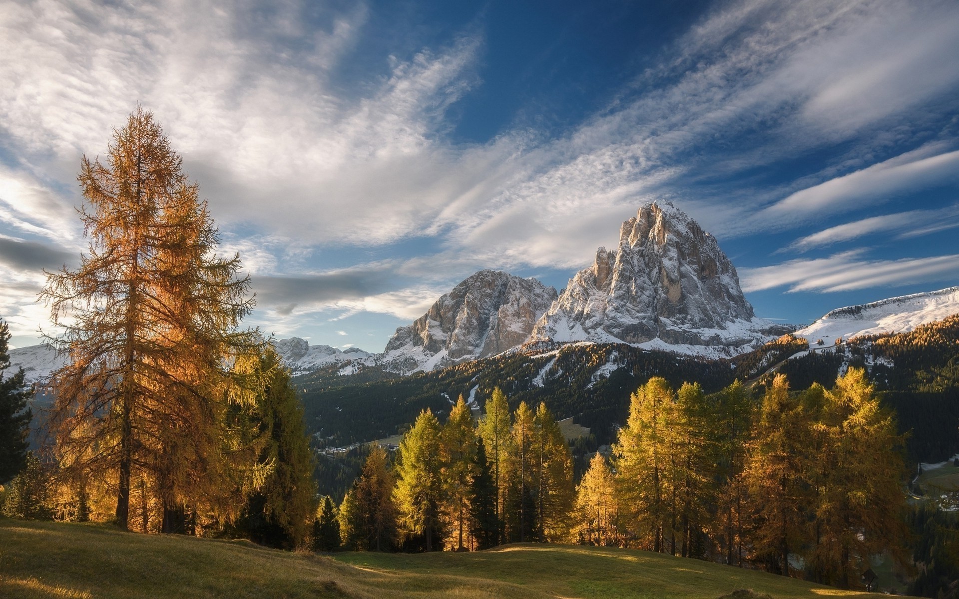 Autumn trees in front of snowy mountains under a cloudy sky HD Wallpaper