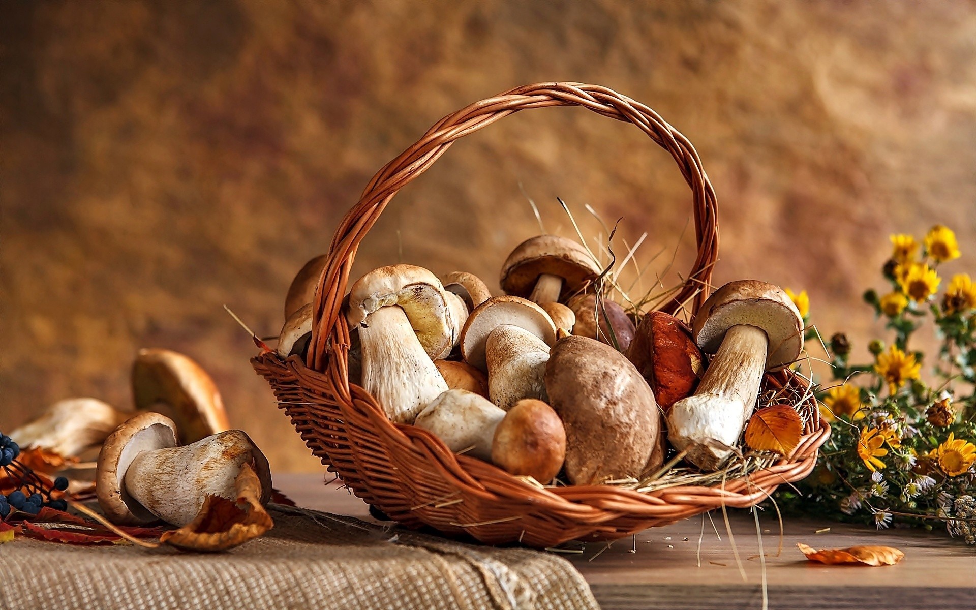 Basket of mushrooms on a wooden surface with flowers HD Wallpaper