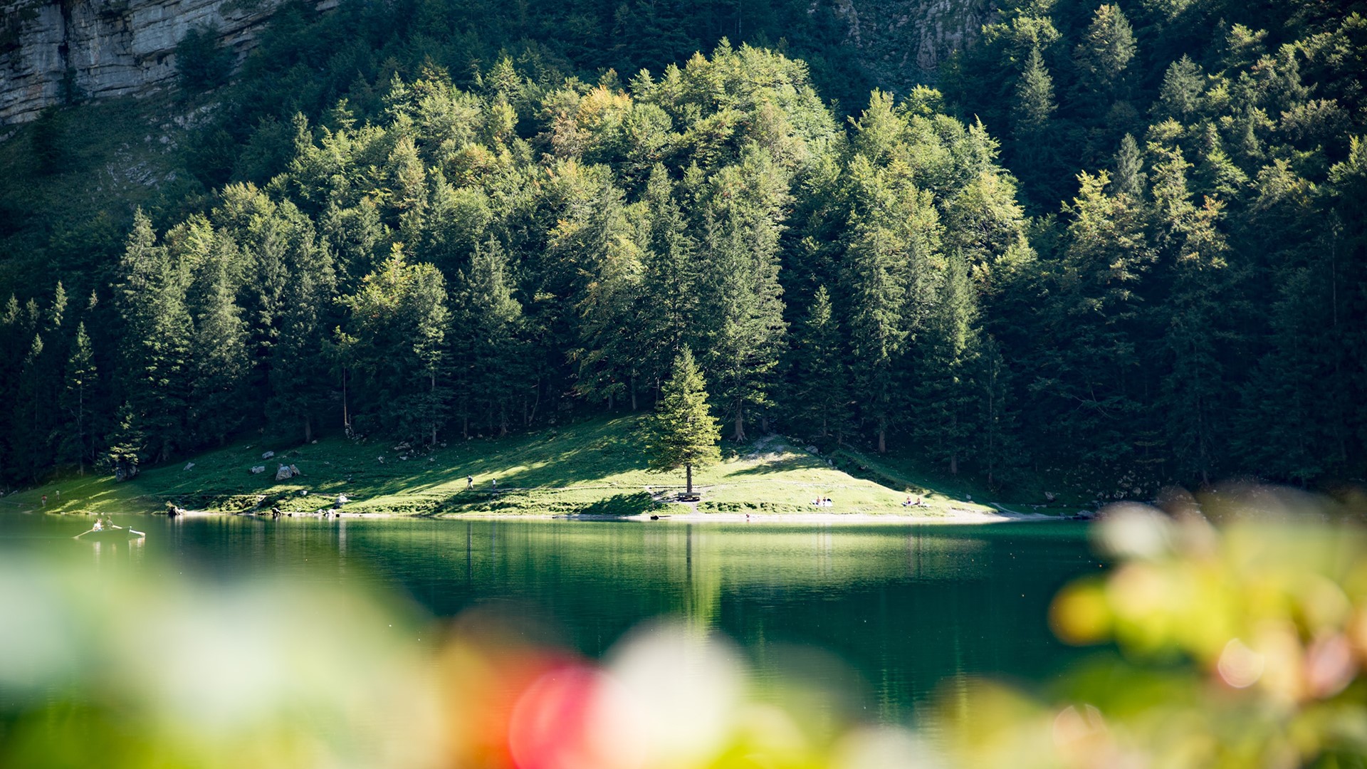Lake with trees and mountains HD Wallpaper