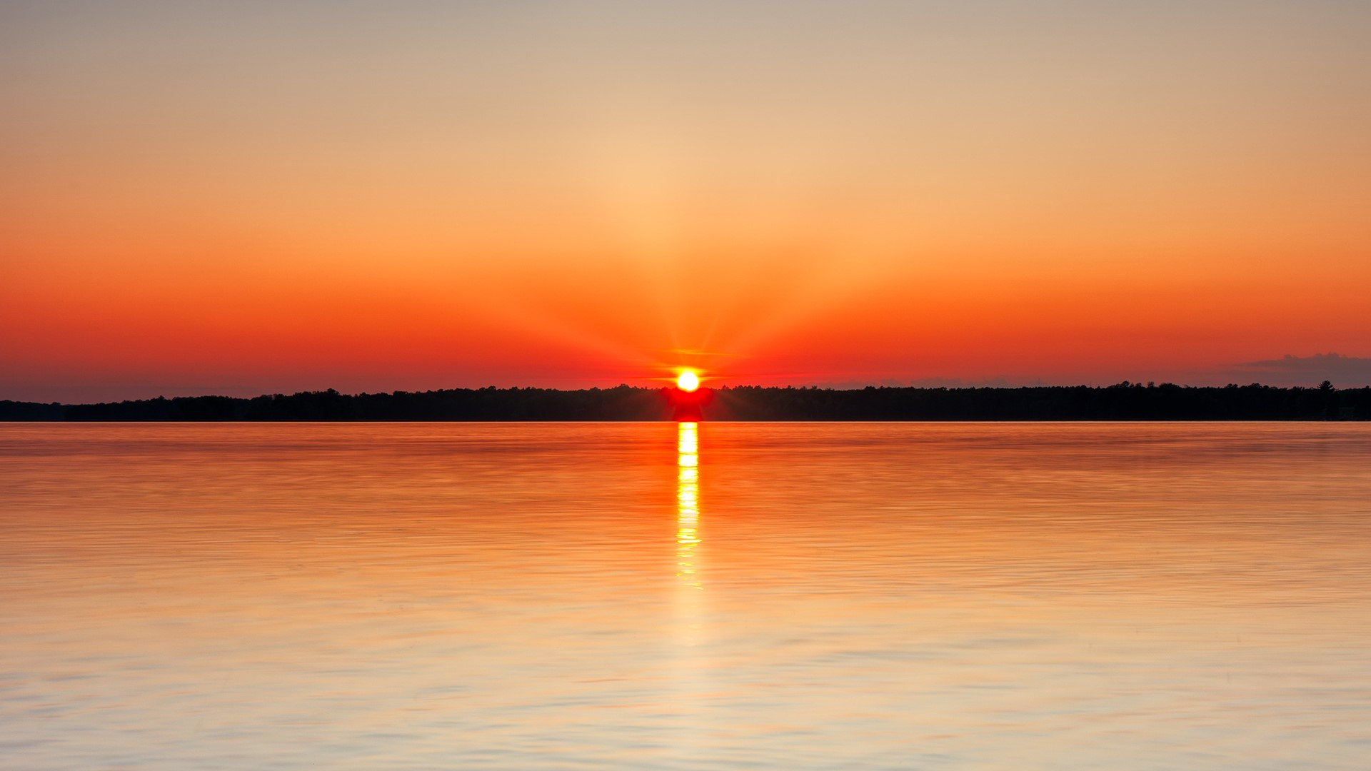 Sunset over a calm lake with trees on the horizon HD Wallpaper
