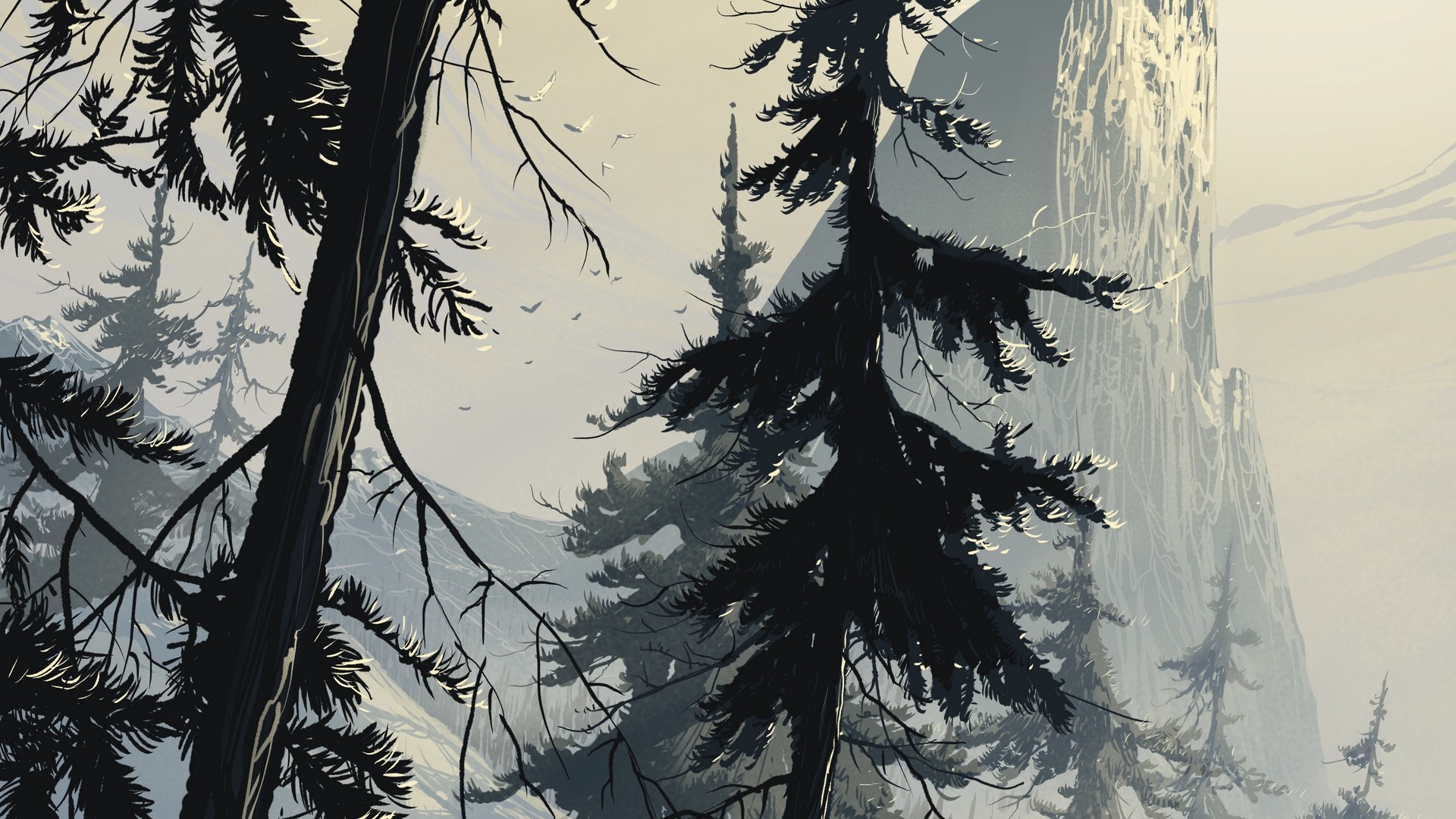 Dark forest with tall trees and mountains HD Wallpaper