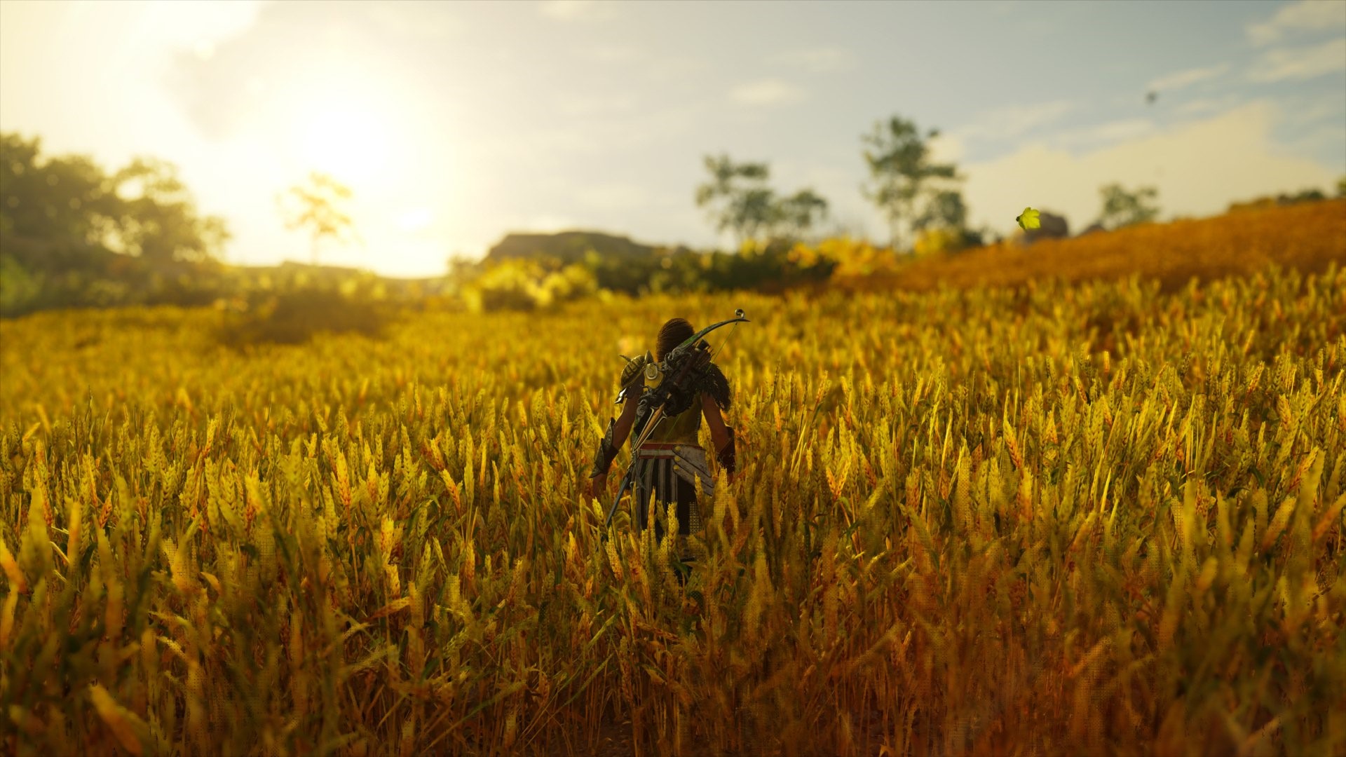 Kassandra from Assassin's Creed Odyssey in a wheat field HD Wallpaper
