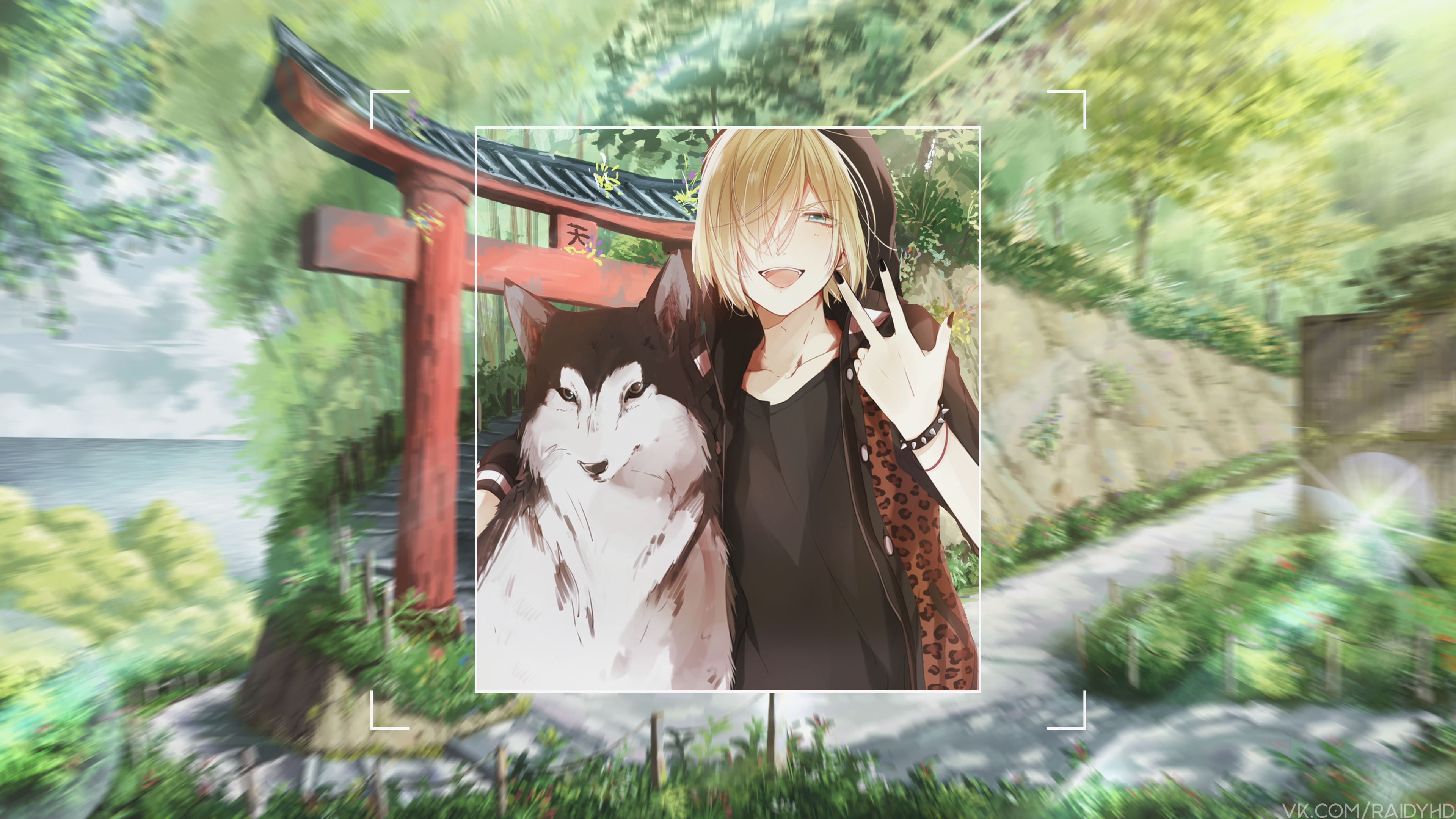 Anime boy with husky in front of torii gate HD Wallpaper