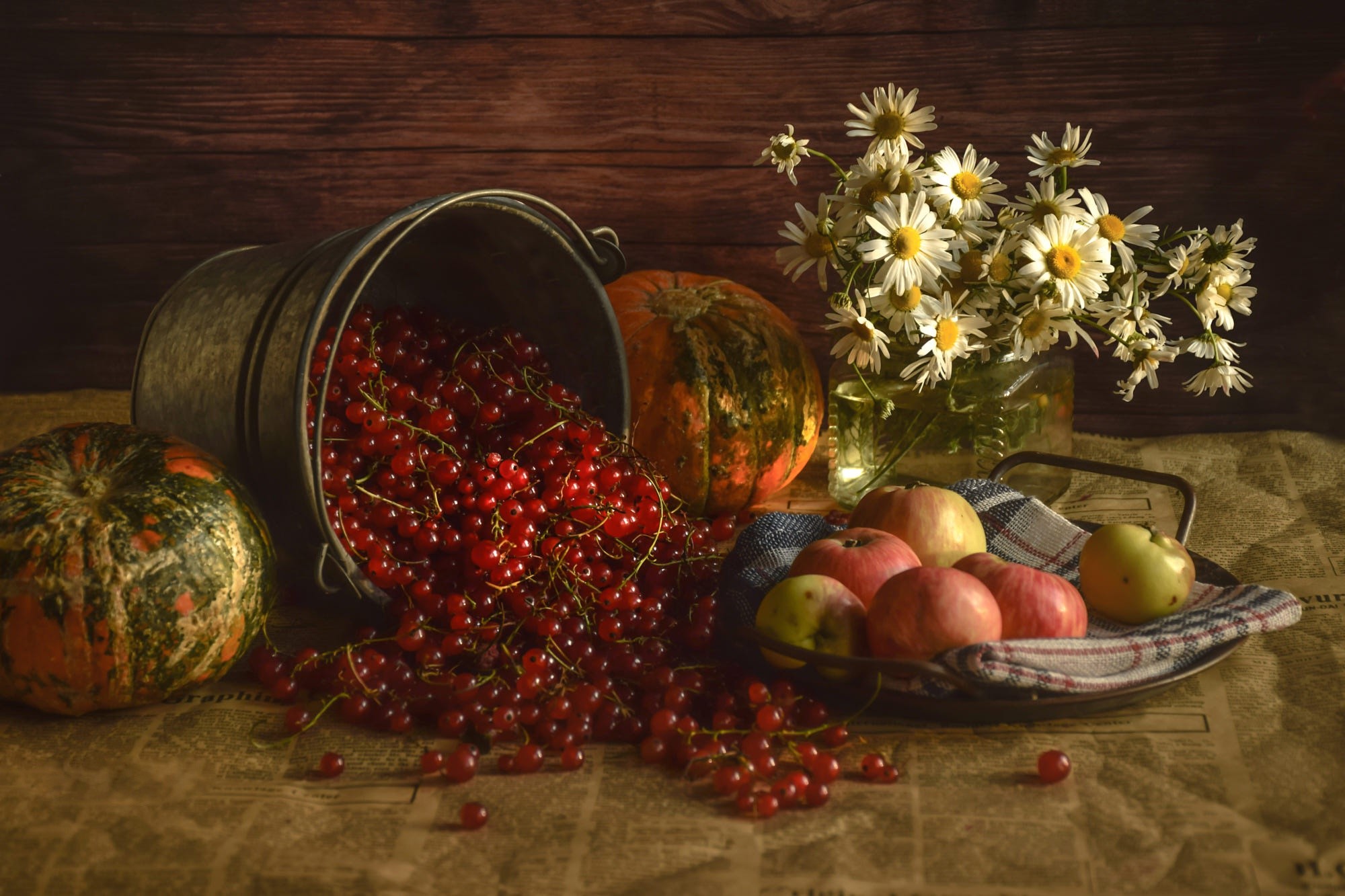 Still life with red currants, apples, pumpkins, and daisies HD Wallpaper