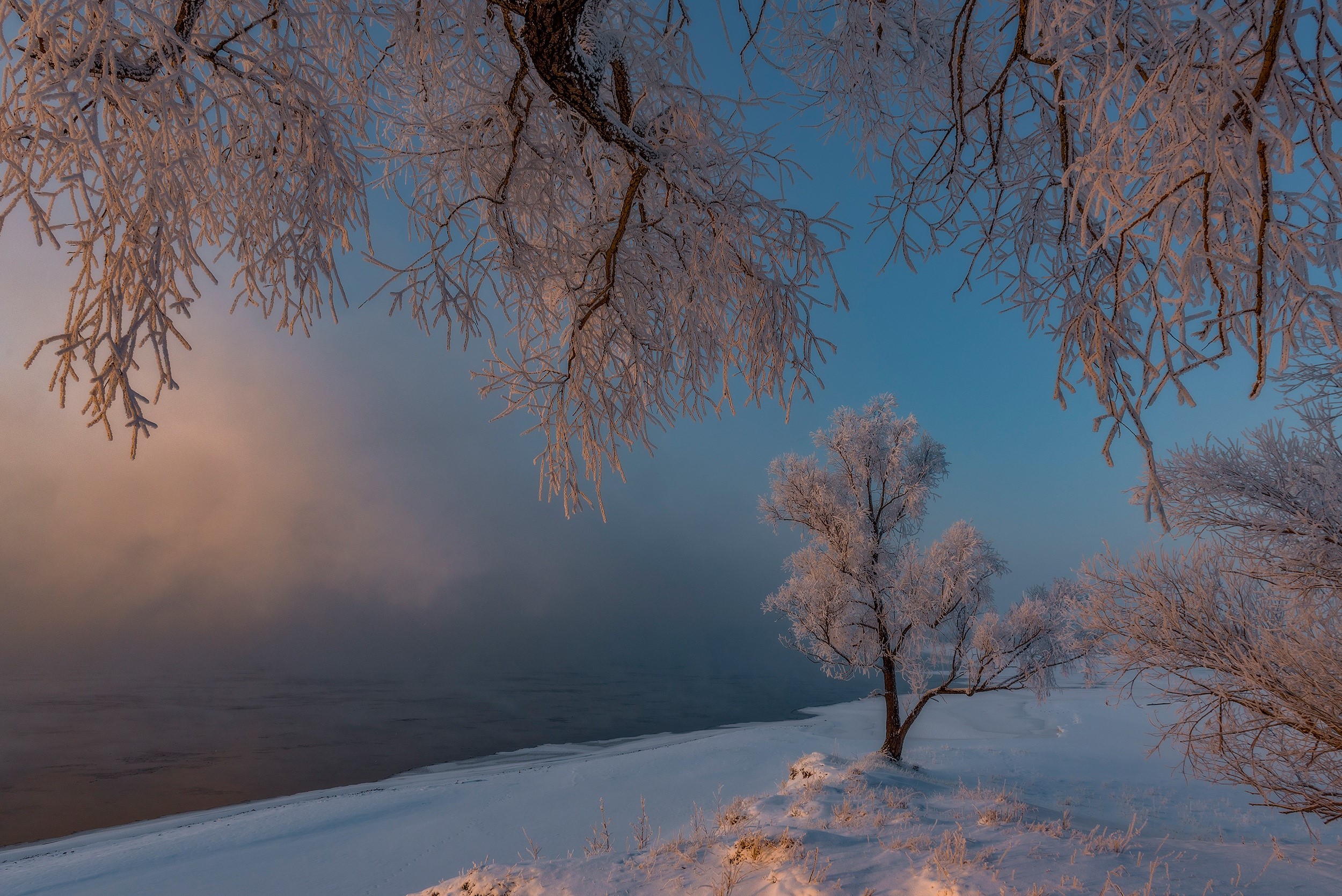 Winter landscape with frosted trees by a foggy river HD Wallpaper