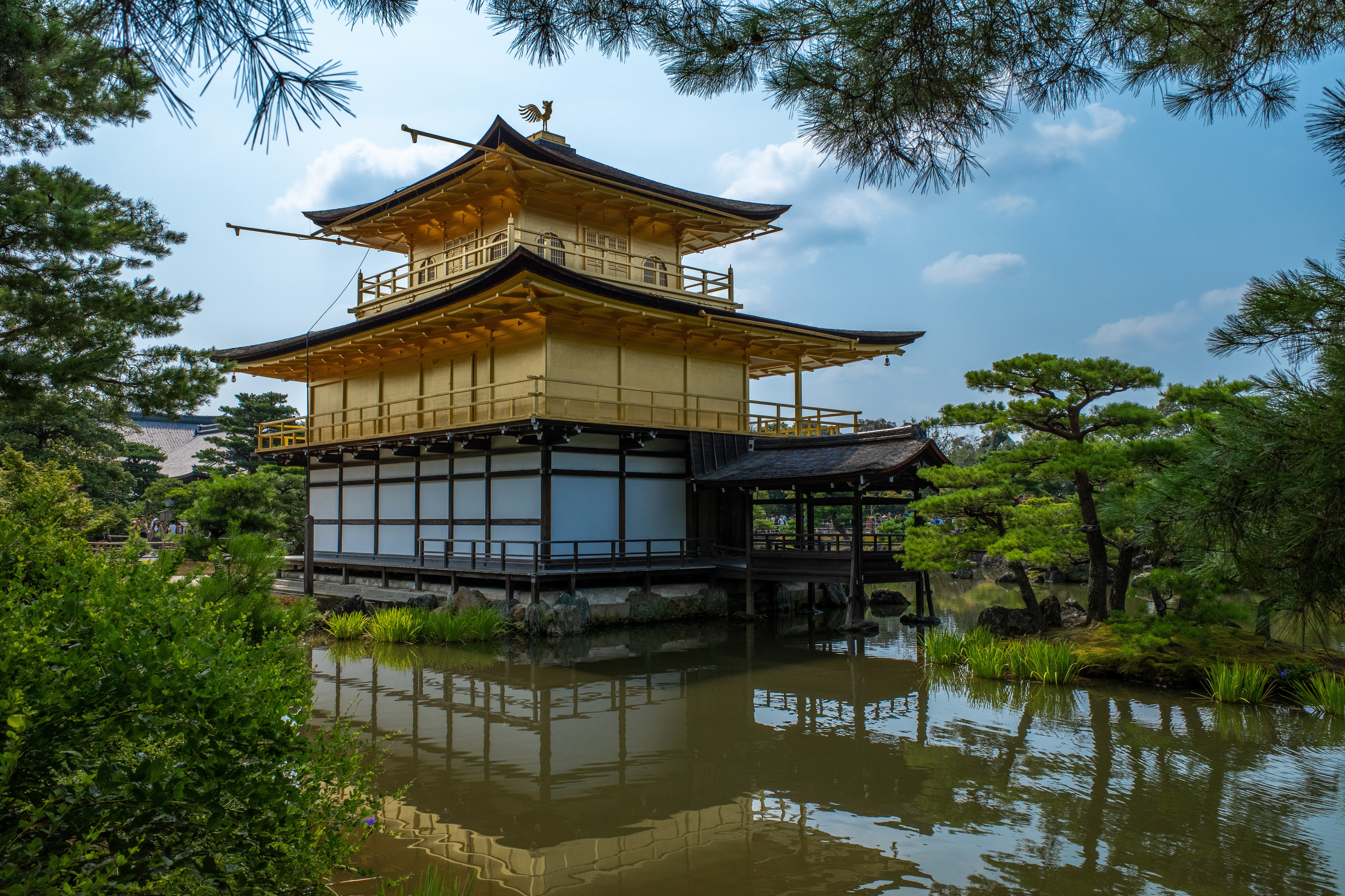 Kinkaku-ji Temple in Kyoto, Japan HD Wallpaper