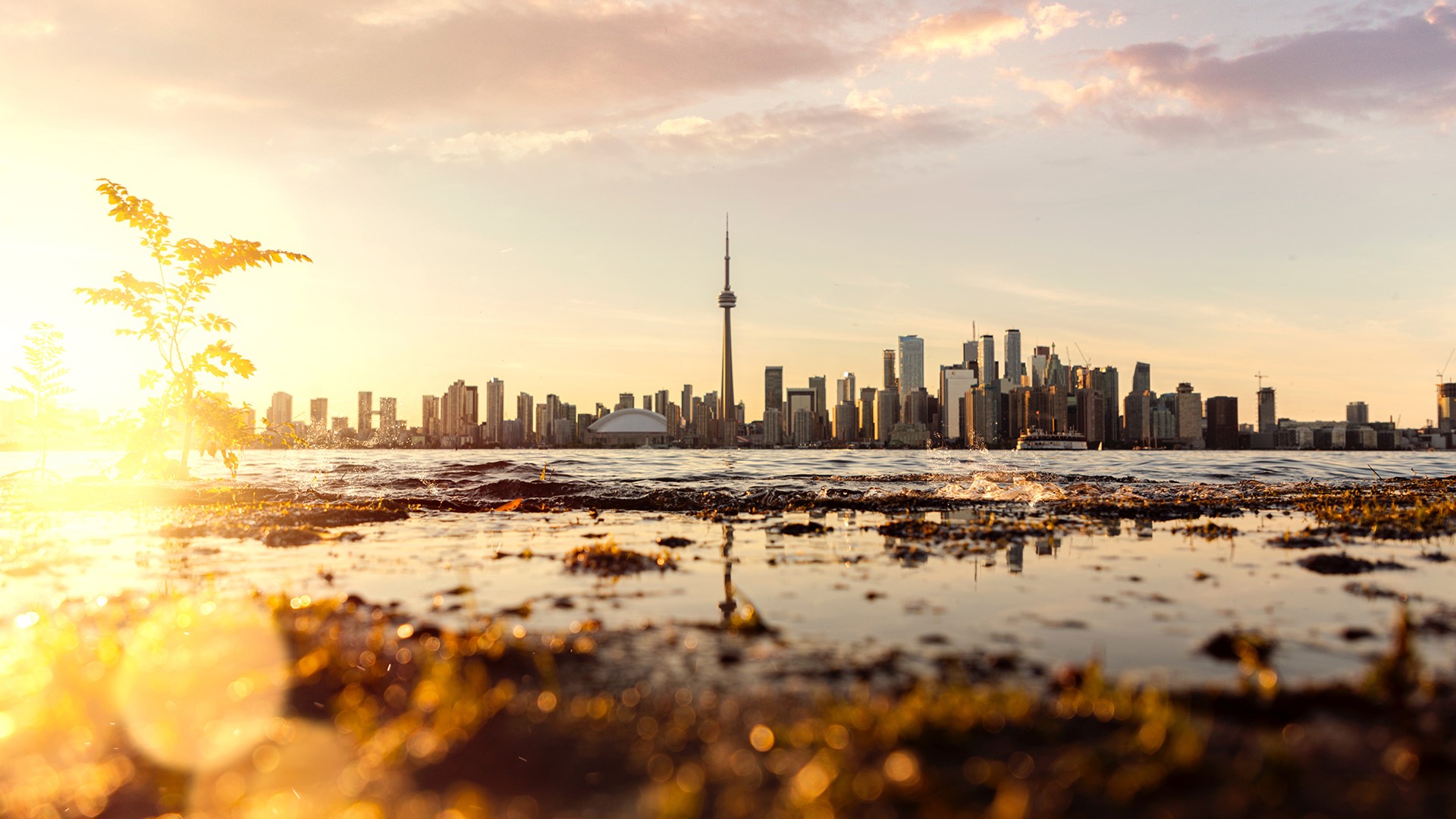Toronto skyline at sunset with CN Tower HD Wallpaper