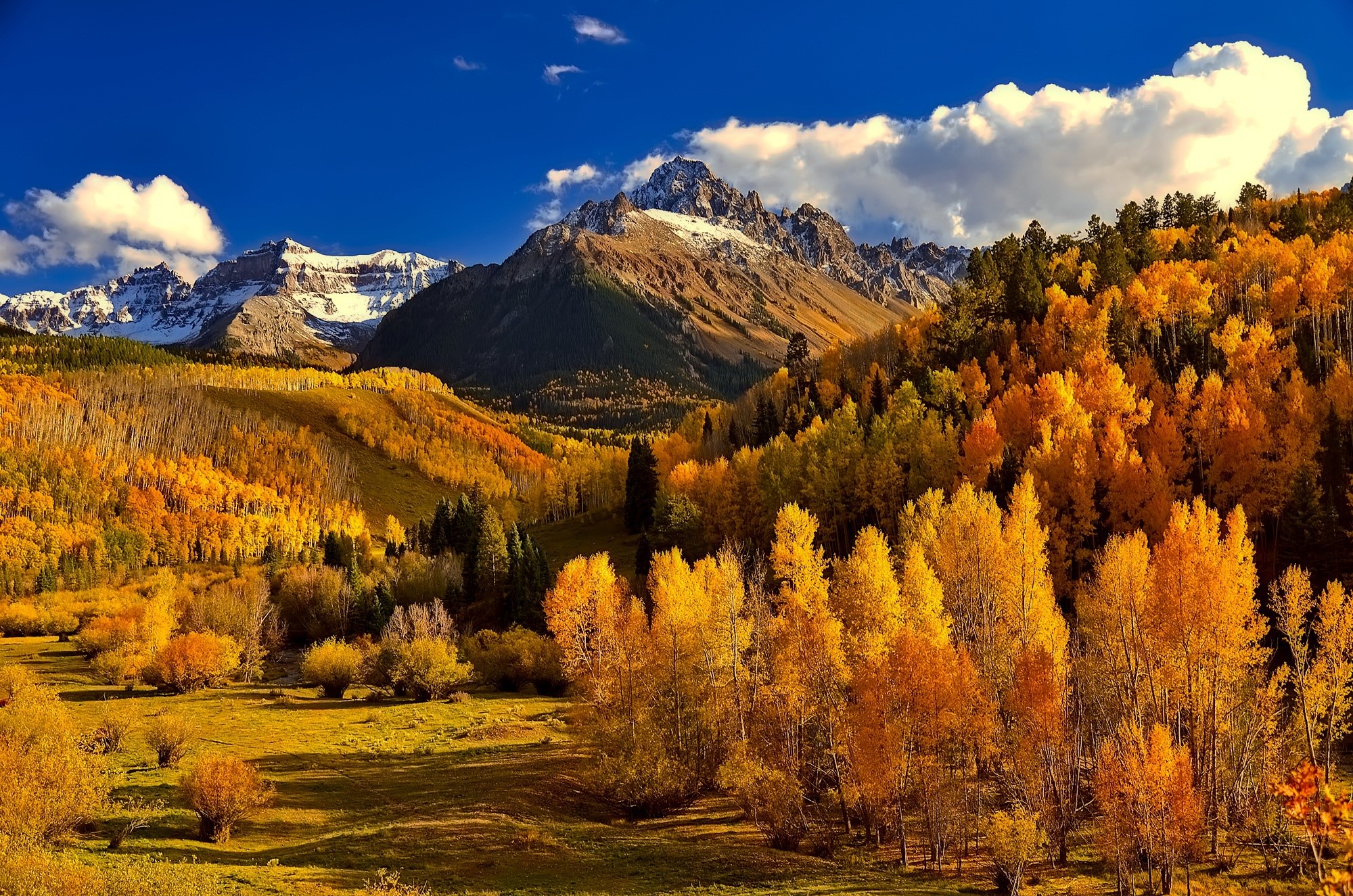 Autumn mountain landscape with golden trees HD Wallpaper