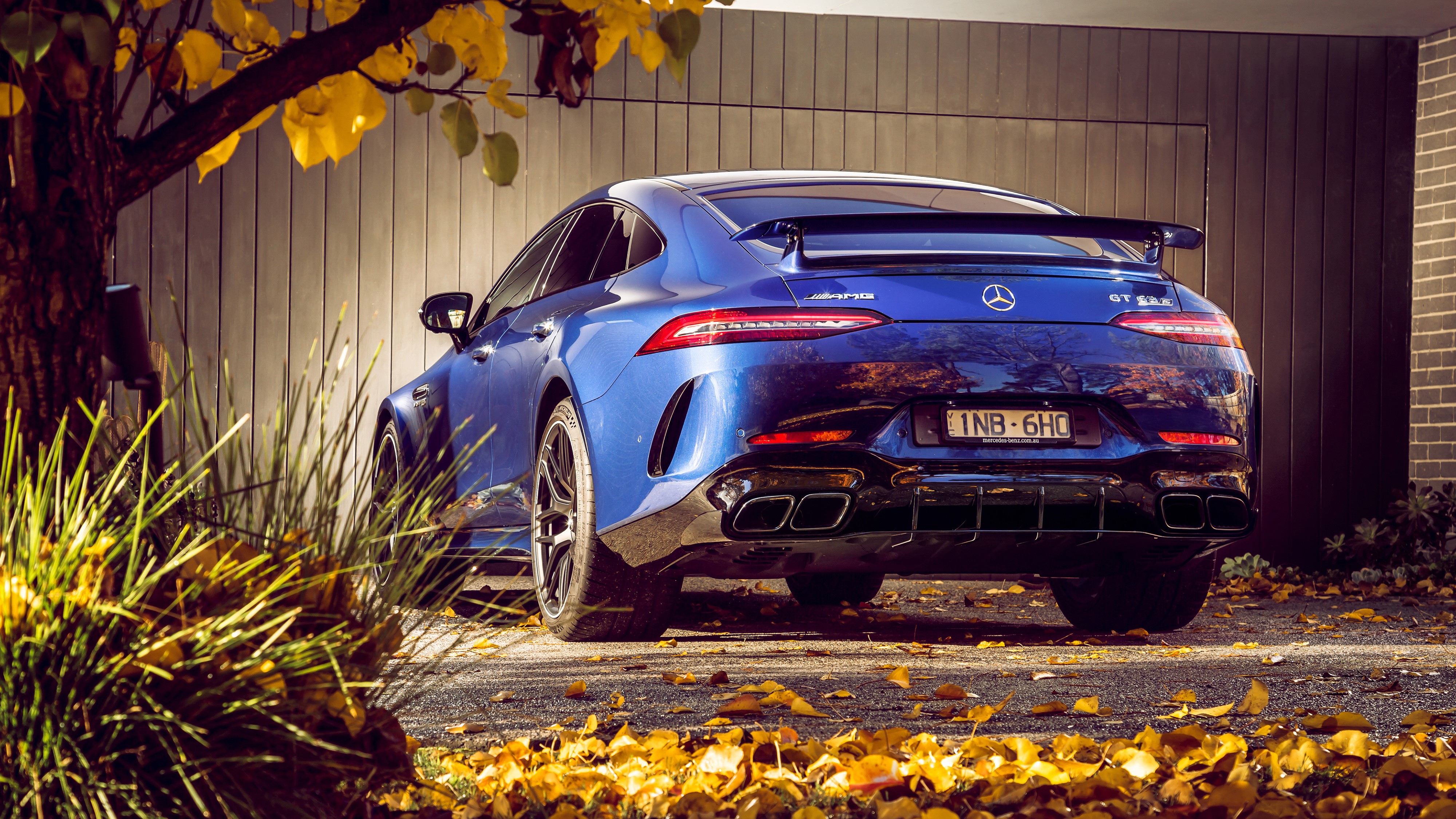 4K Mercedes-AMG GT 4-door car in fall HD Wallpaper