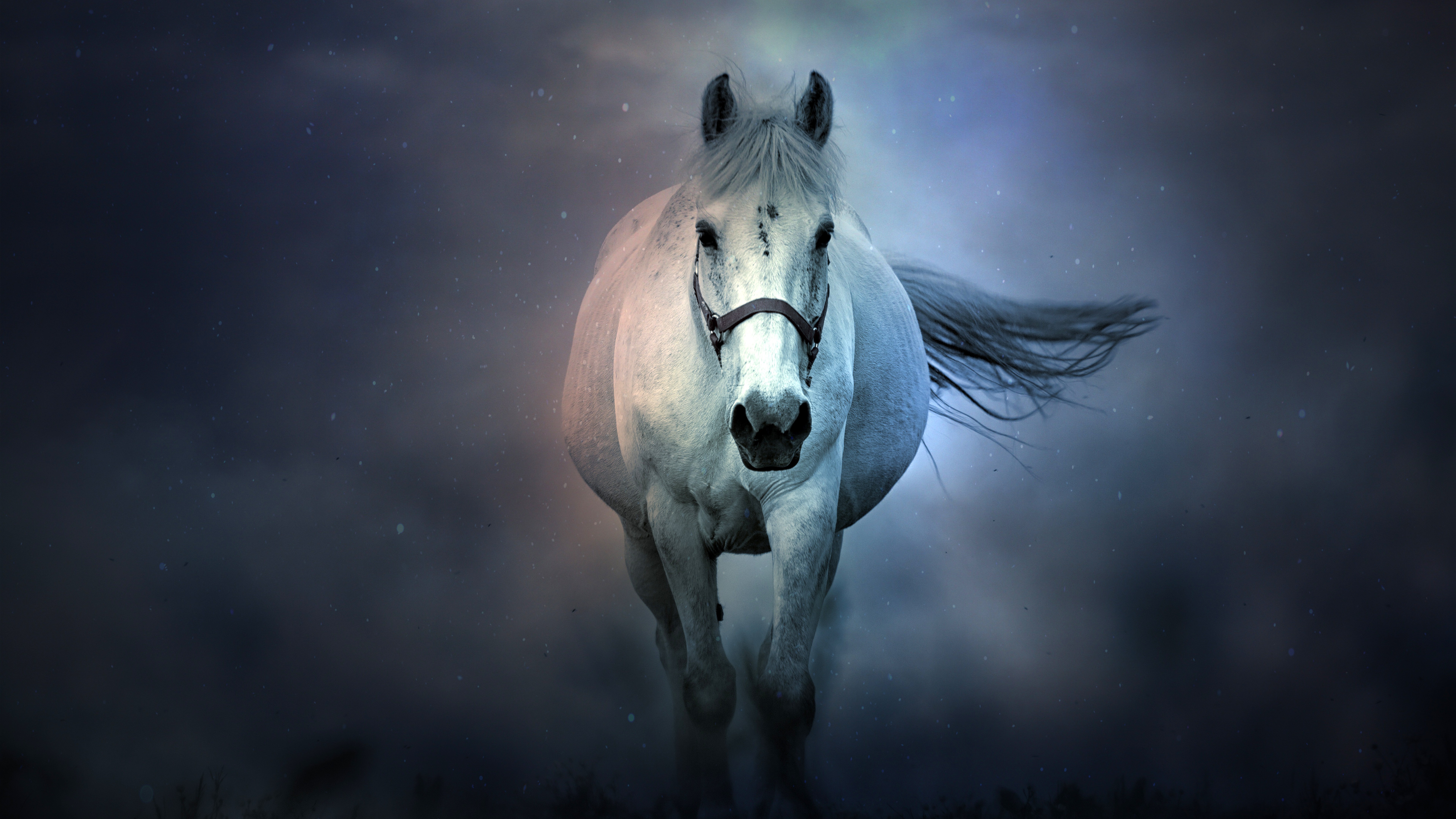4K White Horse Running in Fog HD Wallpaper