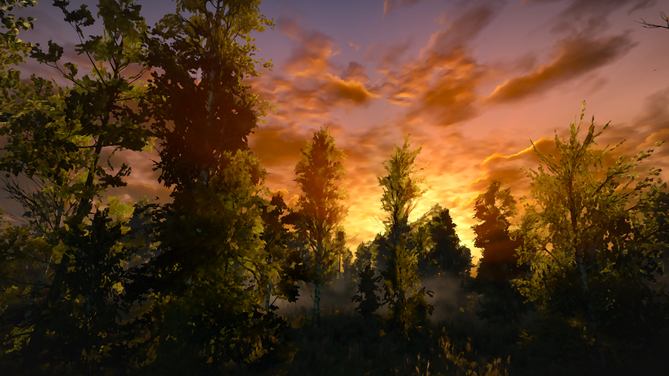The Witcher 3: Wild Hunt forest landscape at sunset HD Wallpaper
