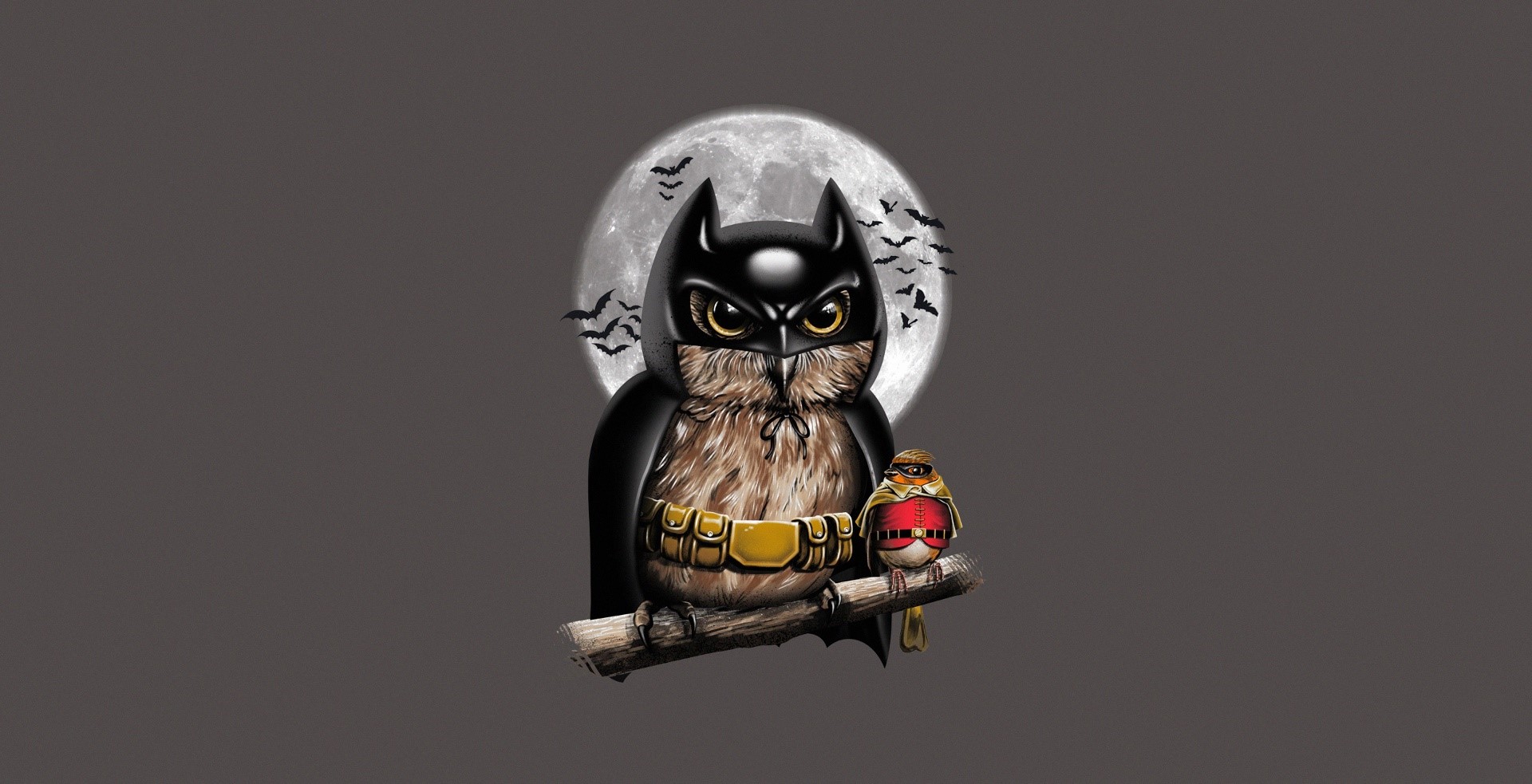 Batman owl with Robin bird on a branch HD Wallpaper