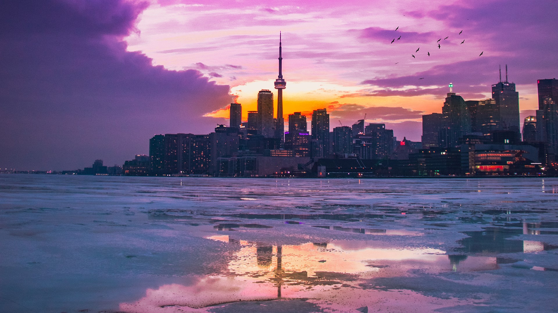 Toronto cityscape with CN Tower at sunset over frozen water HD Wallpaper