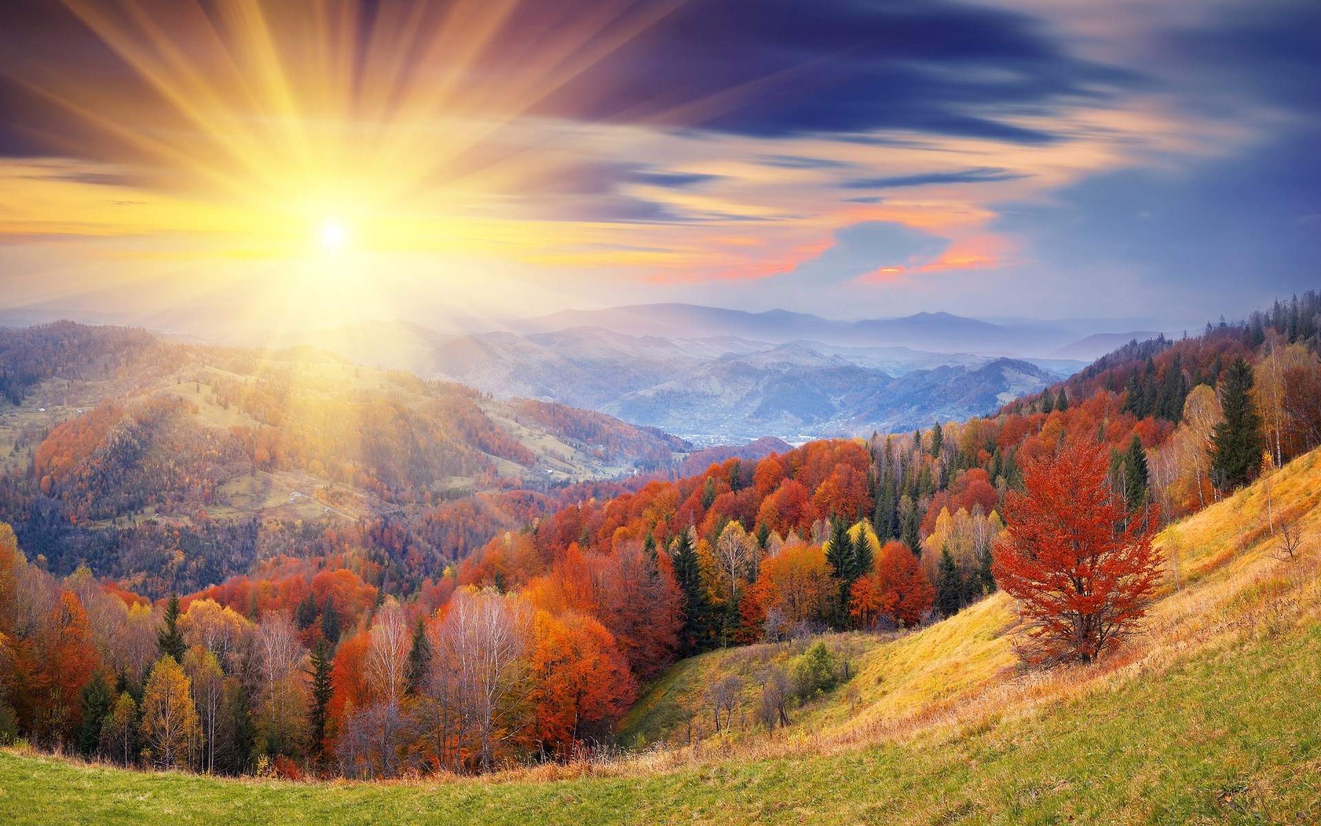 Sunrise over autumn mountains with colorful trees HD Wallpaper