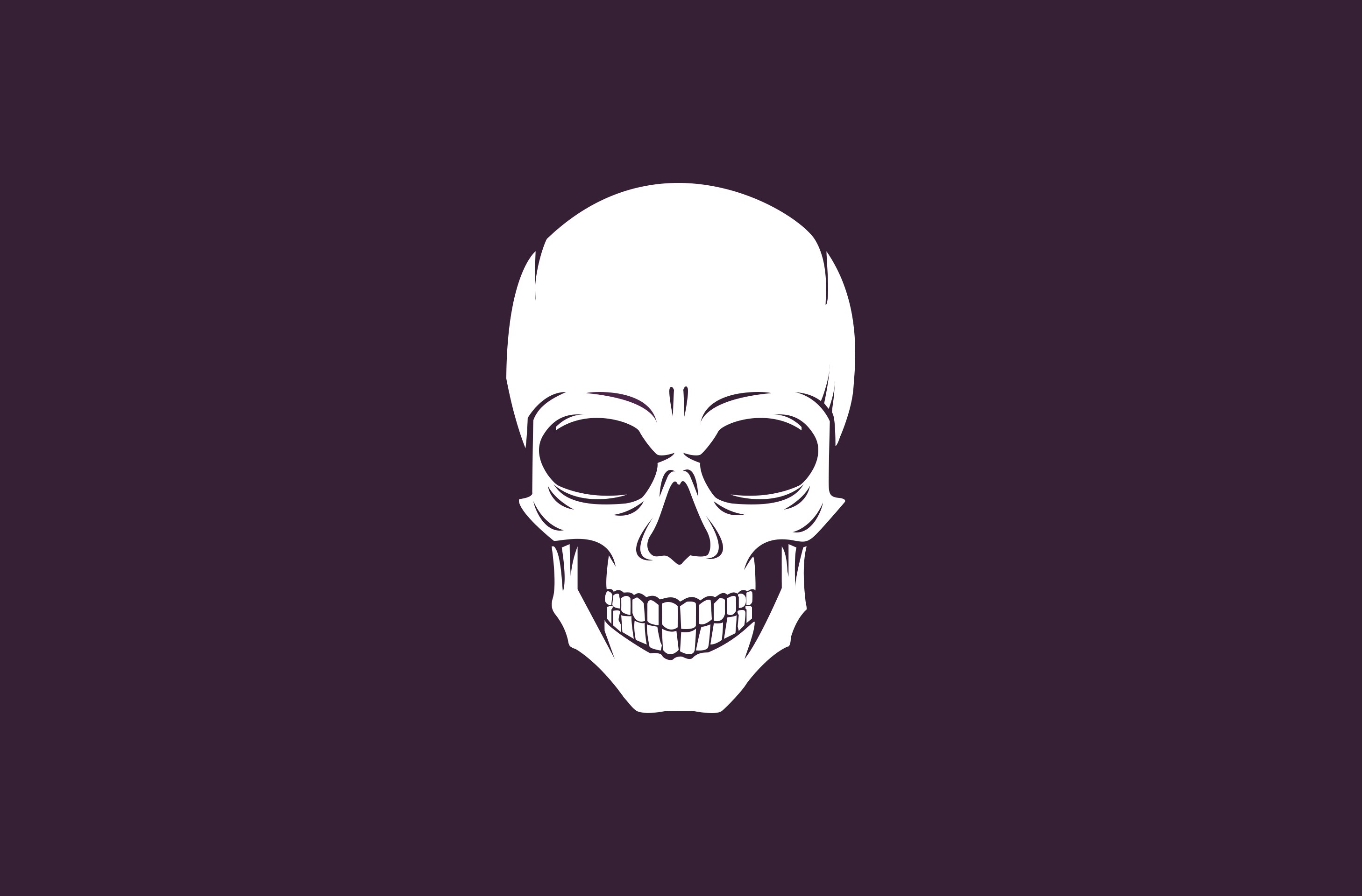 White skull on a dark purple background HD Wallpaper
