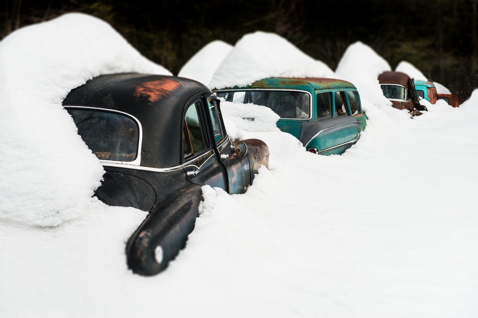 Old cars covered in snow in a forest HD Wallpaper