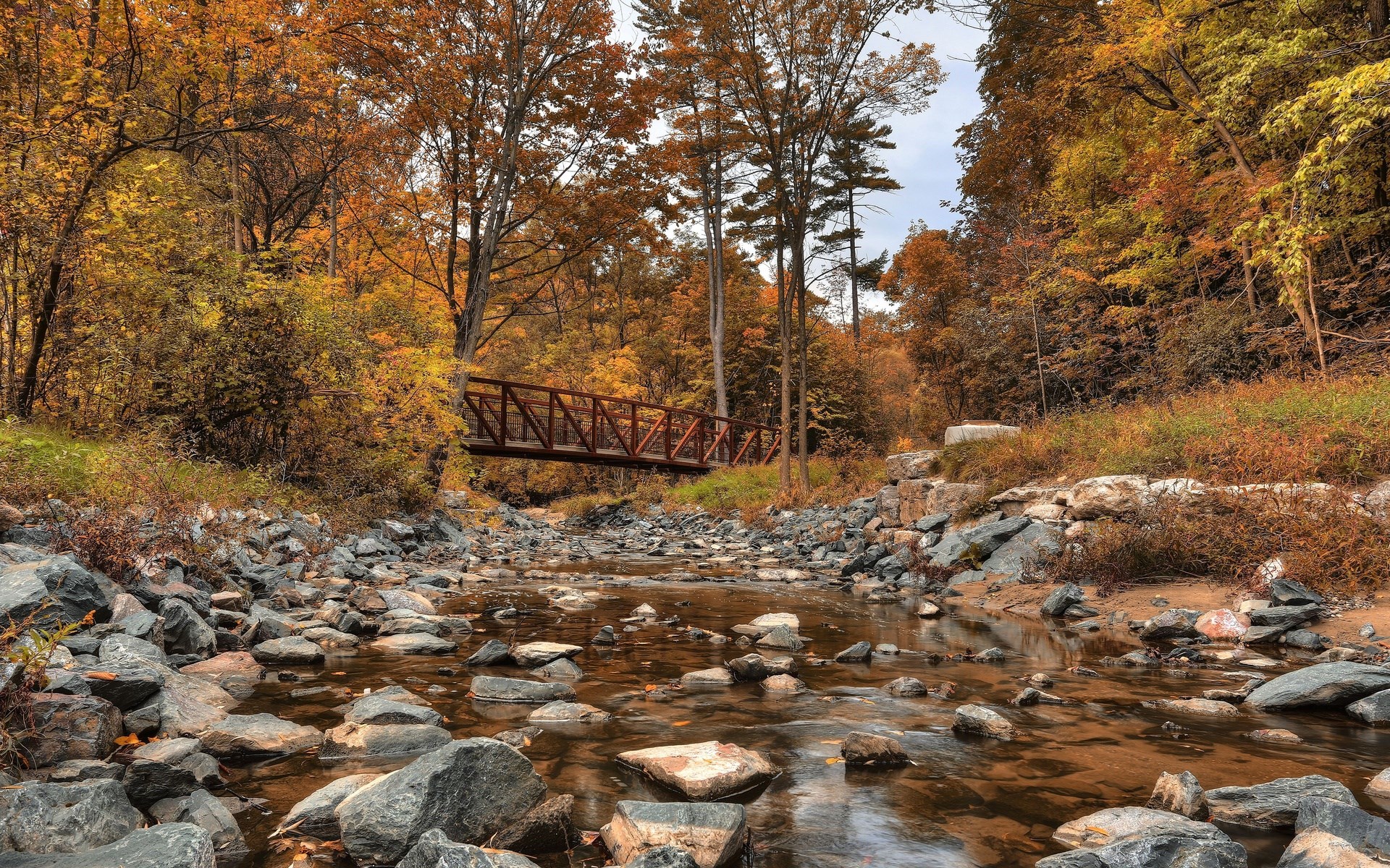 Bridge over a rocky stream in autumn forest HD Wallpaper