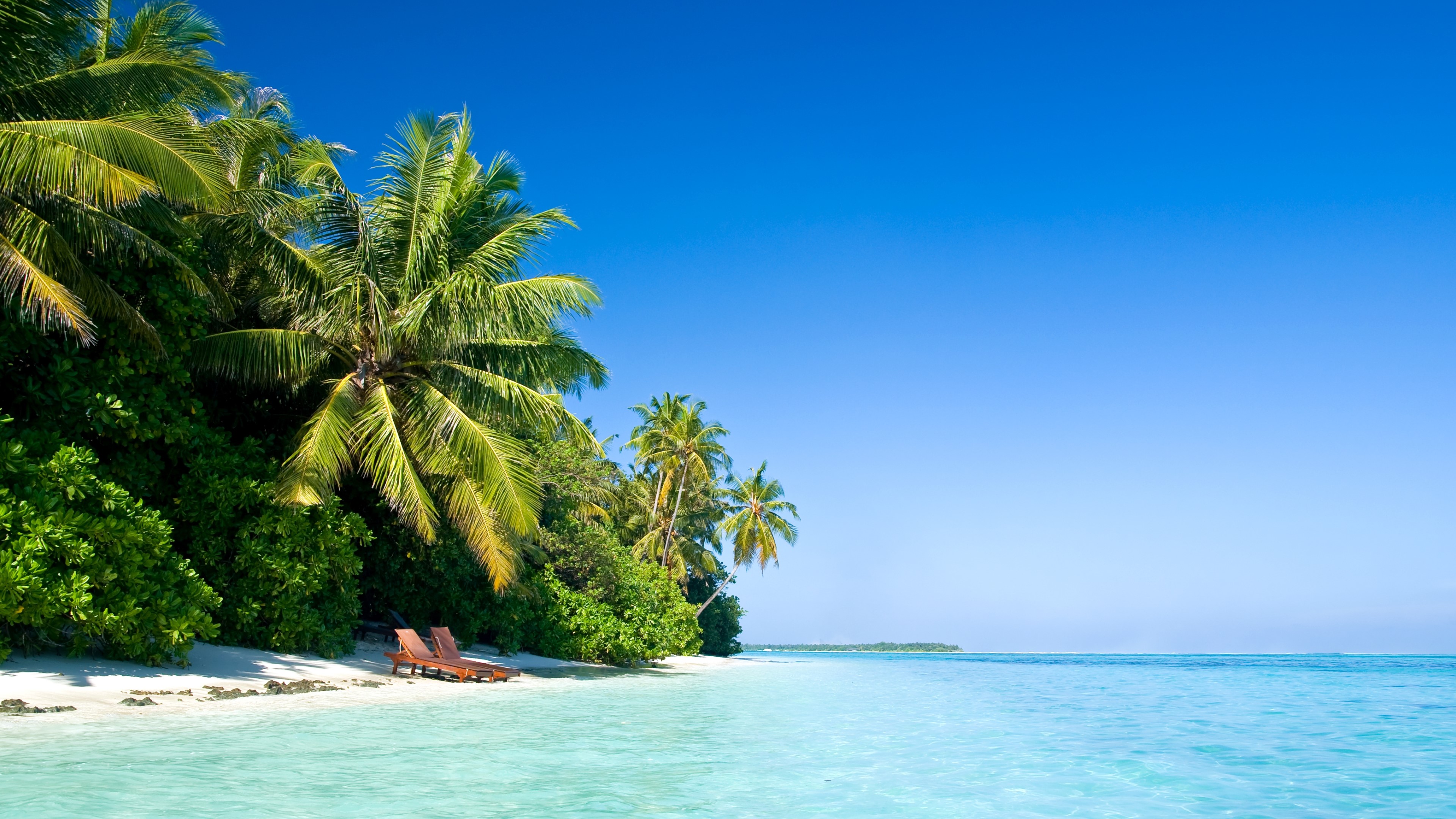 Island beach with palm trees and lounge chairs HD Wallpaper