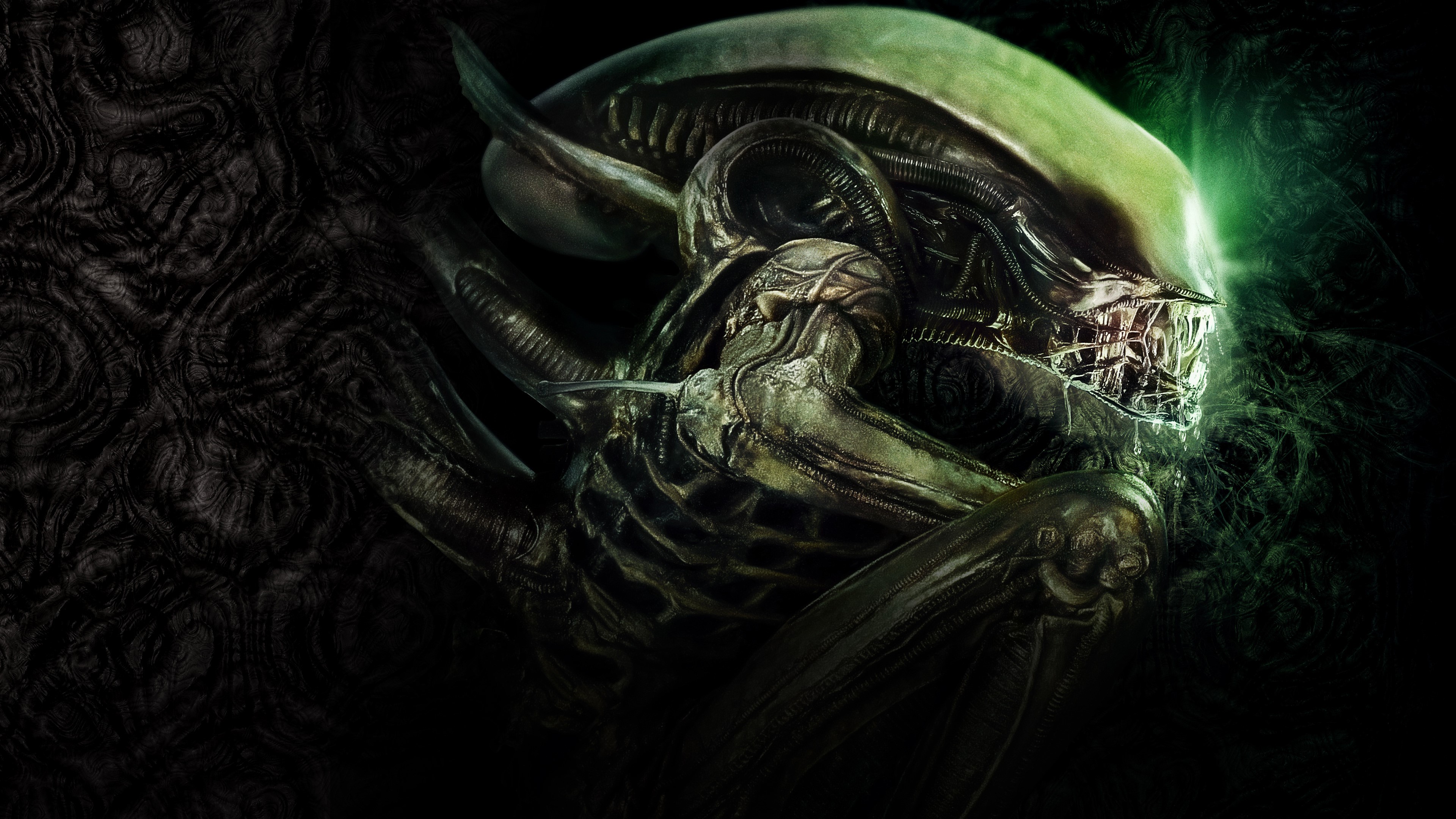 4K Xenomorph creature from Alien science fiction artwork HD Wallpaper