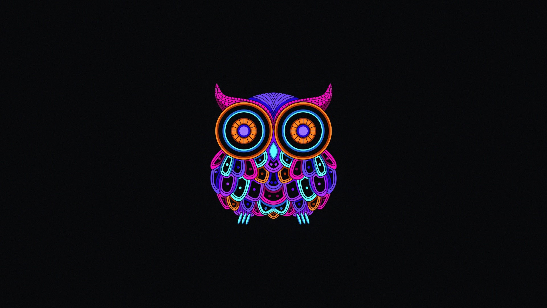 Neon owl illustration on black background HD Wallpaper
