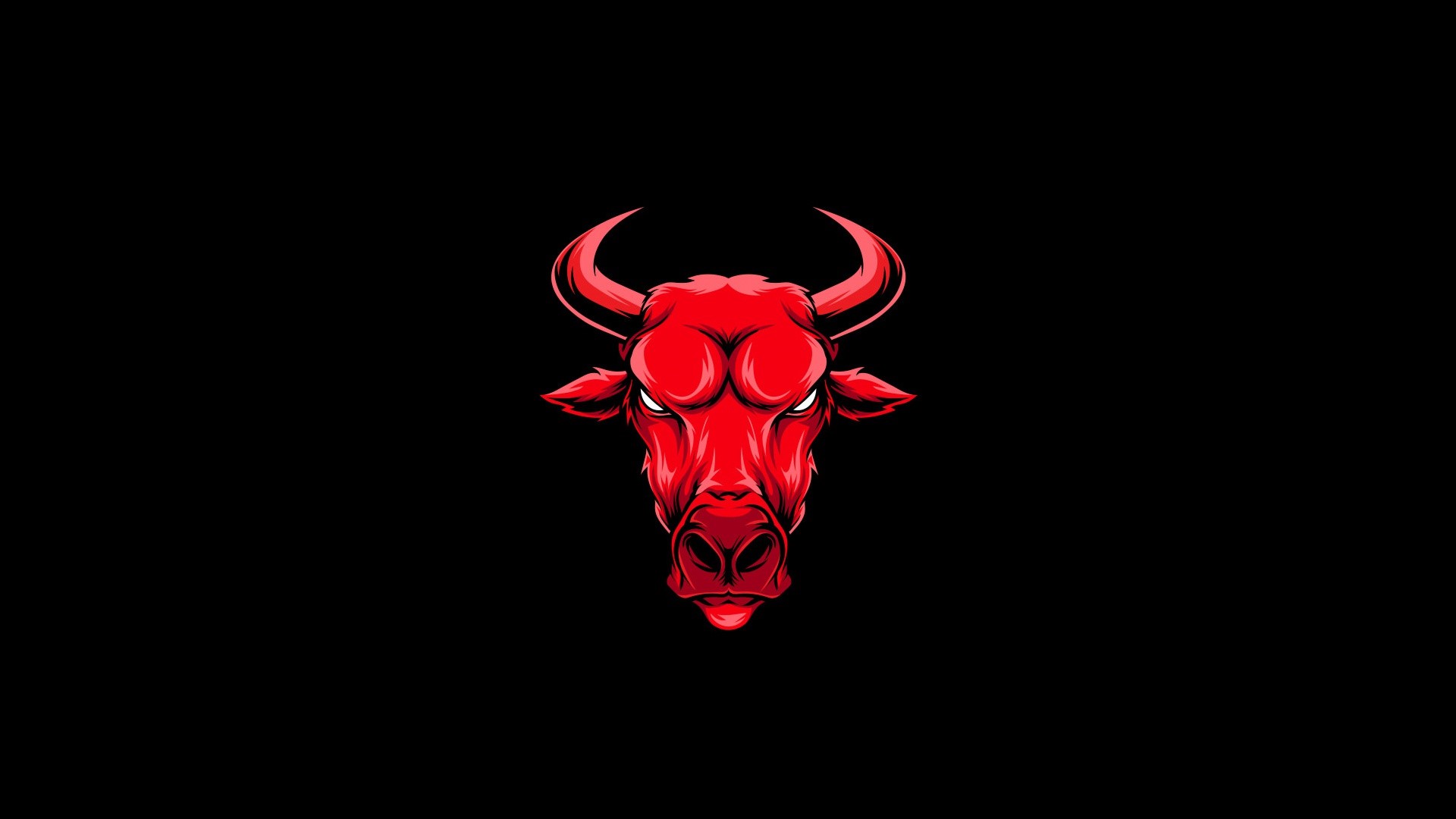 Red bull head artwork on black background HD Wallpaper