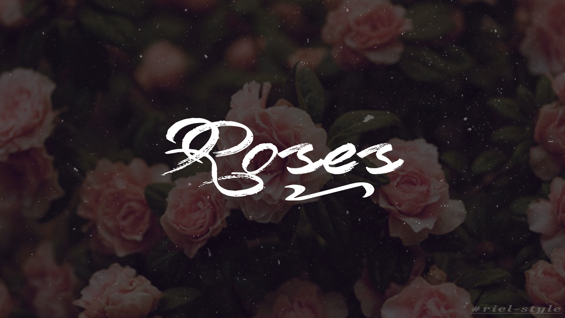 Roses text on a blurred background of roses HD Wallpaper