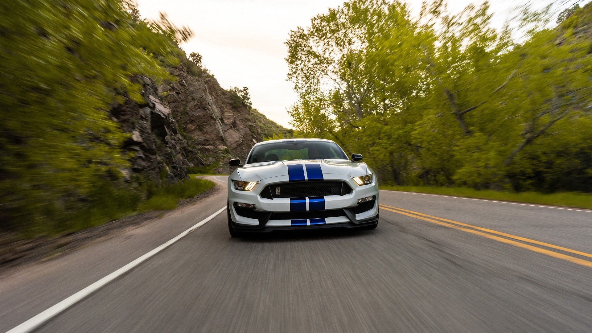 White Ford Mustang Shelby GT350 with Blue Stripes on a Winding Road HD Wallpaper
