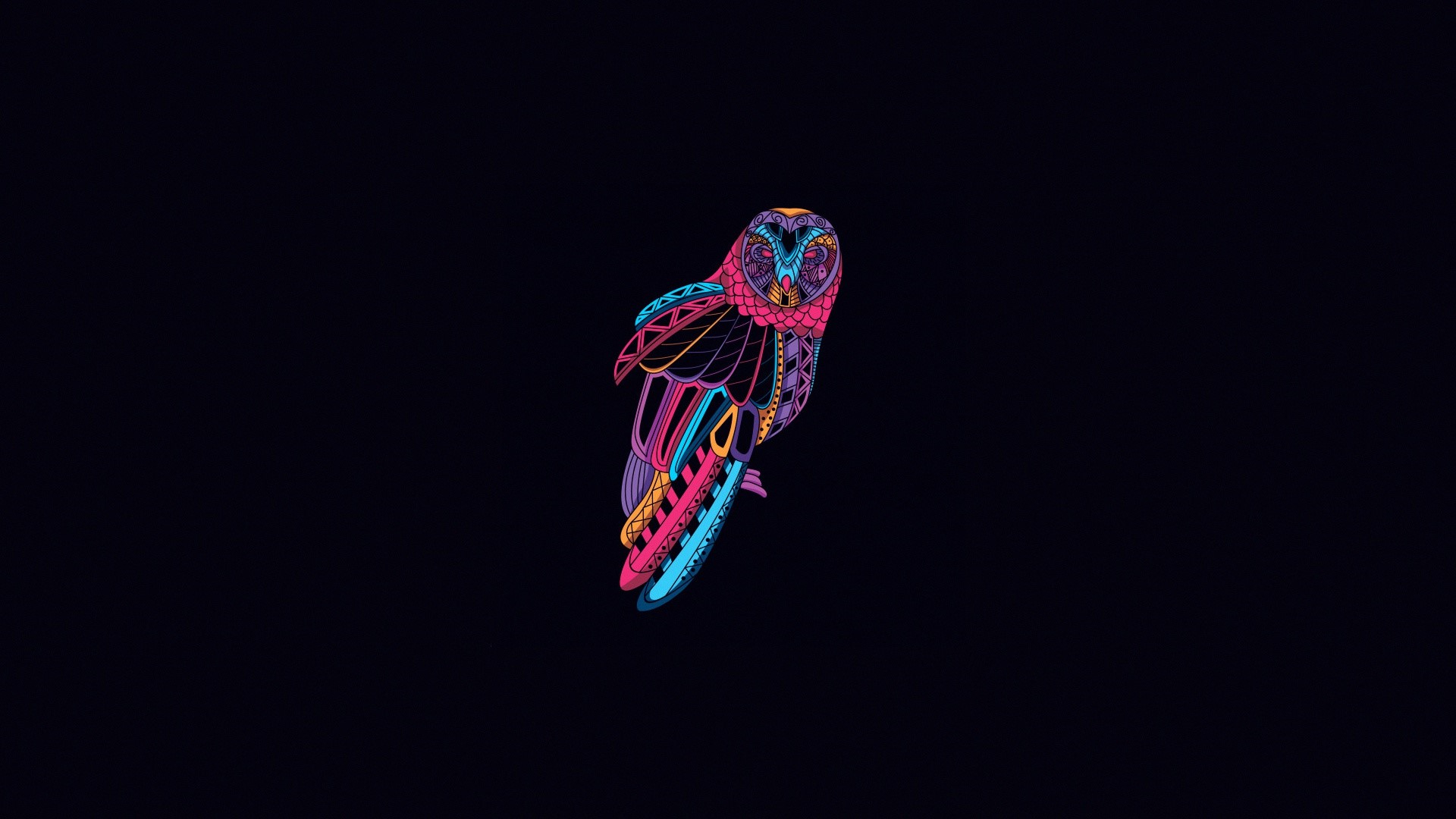 Colorful abstract owl illustration on black background HD Wallpaper