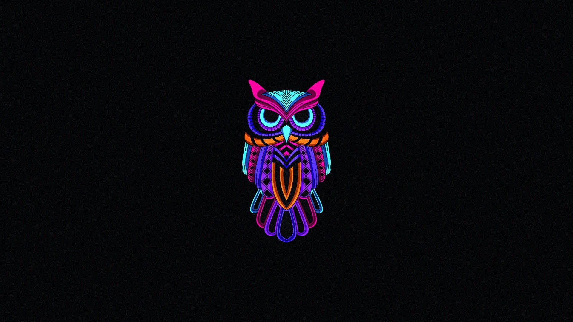 Colorful owl illustration on black background HD Wallpaper