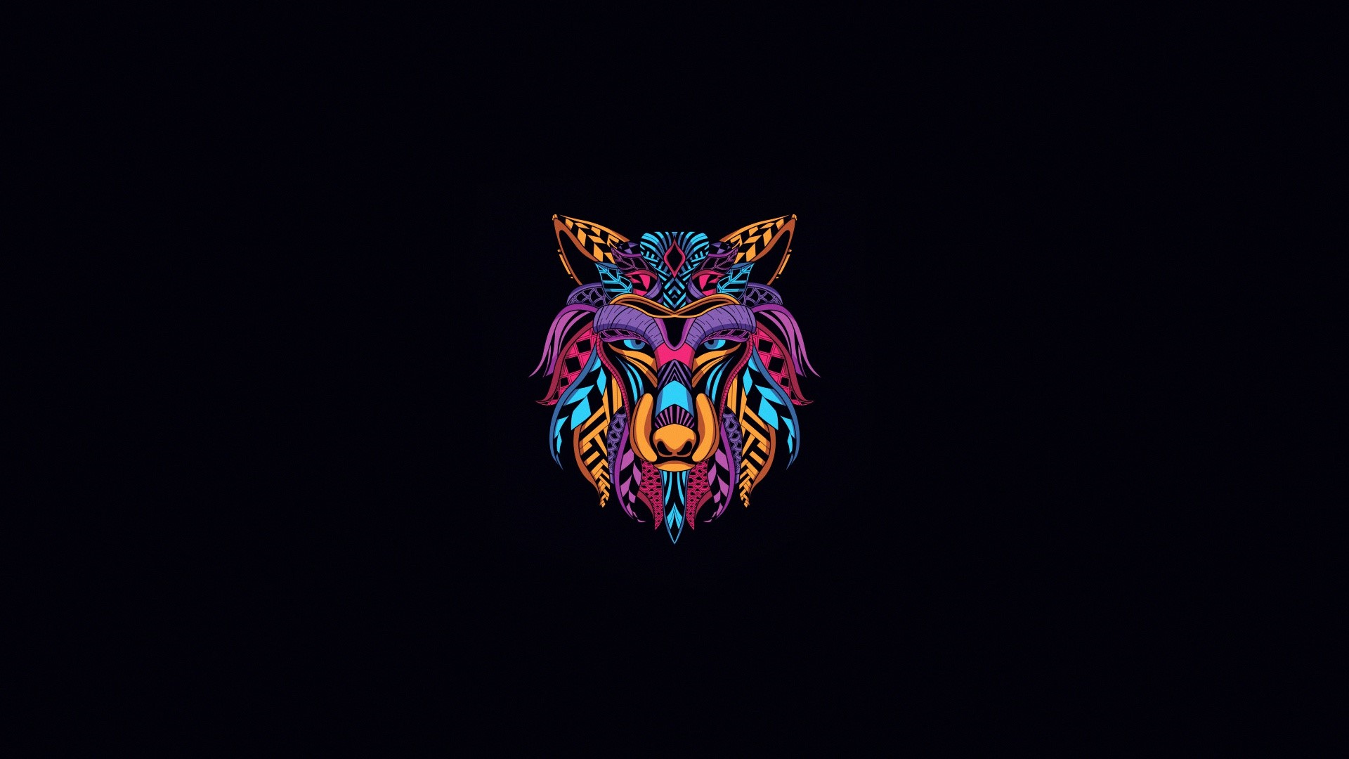 Colorful abstract wolf head artwork on black background HD Wallpaper