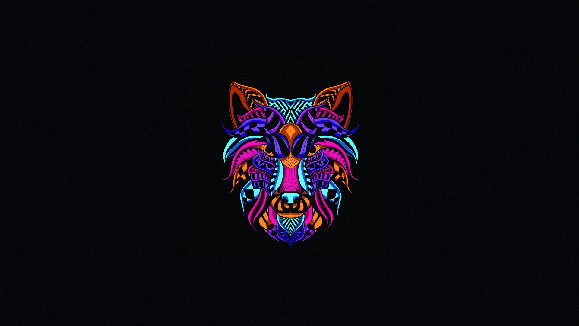 Colorful abstract wolf head illustration on black background HD Wallpaper