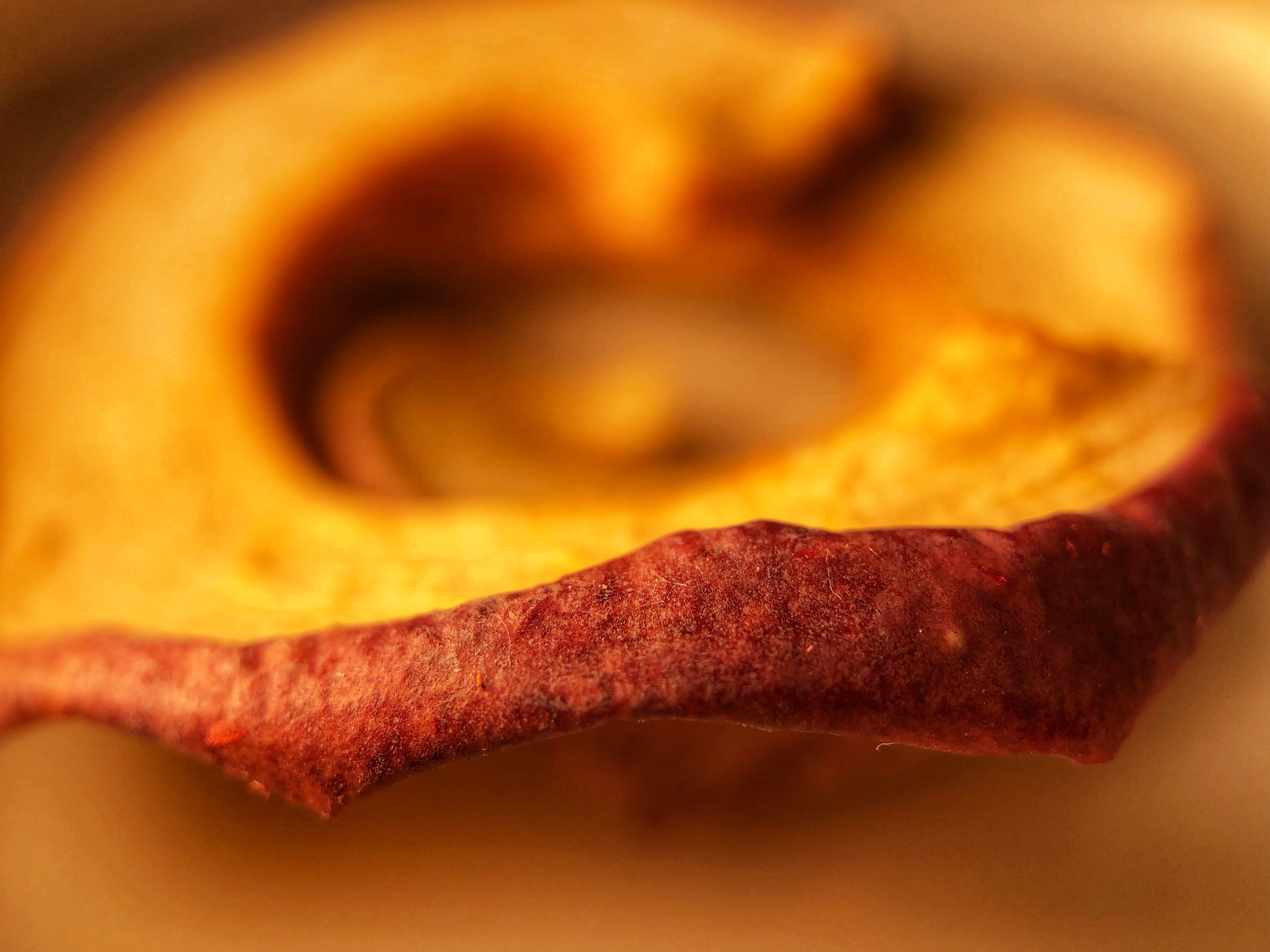 Close-up of a dried apple slice HD Wallpaper