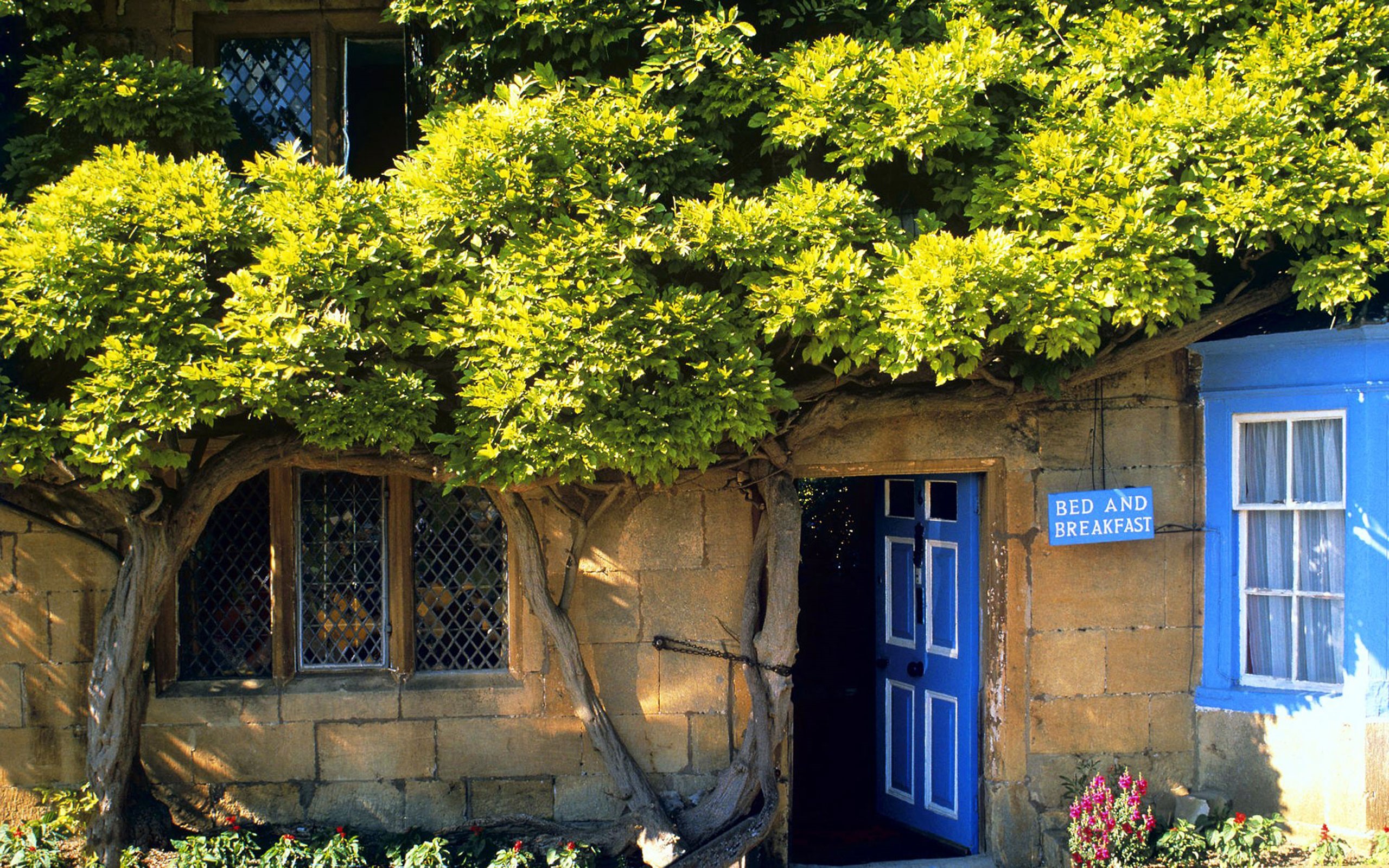 Bed and Breakfast building with blue door and windows HD Wallpaper