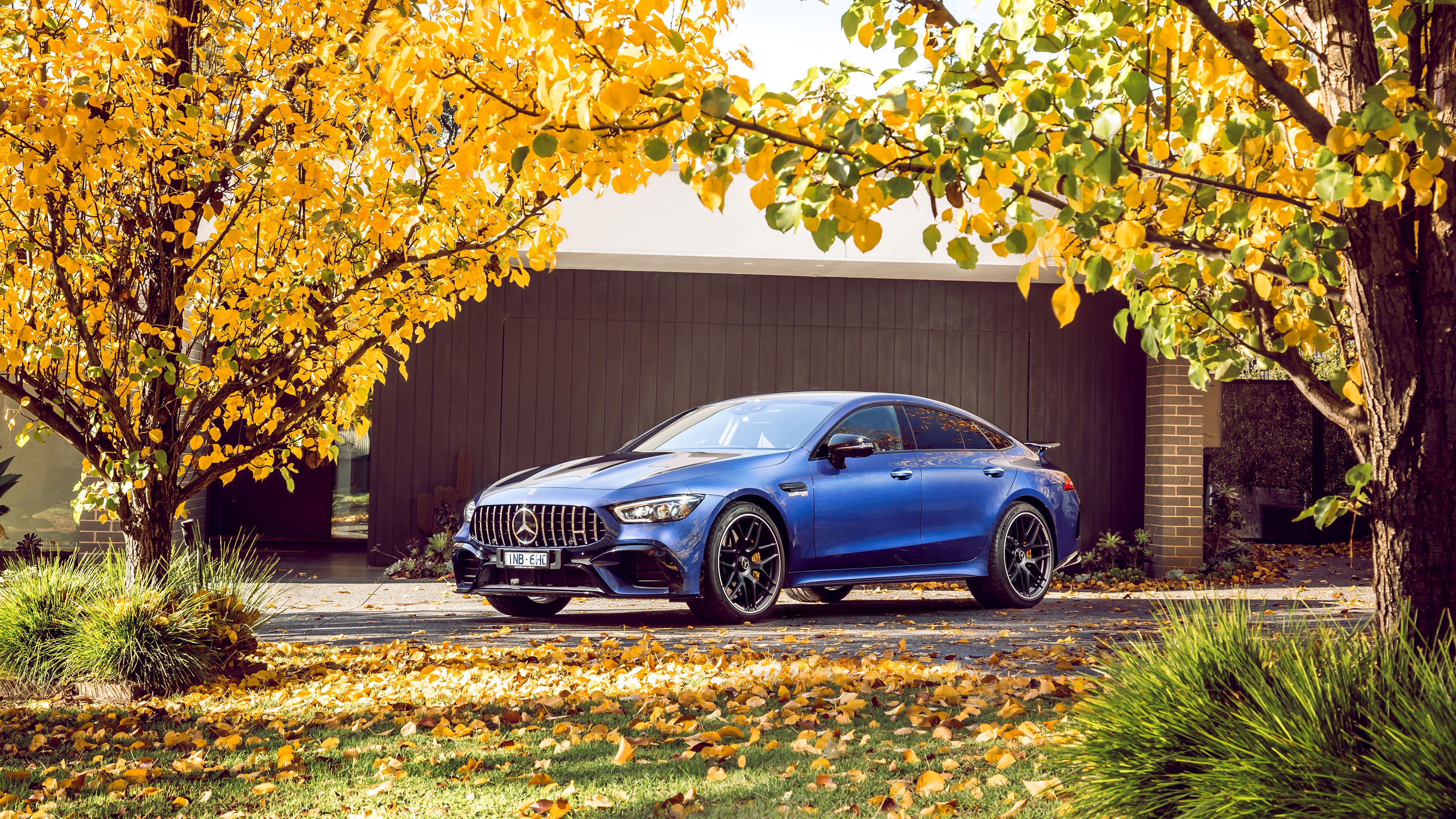 4K Blue Mercedes-AMG GT 4-door car with fall leaves HD Wallpaper