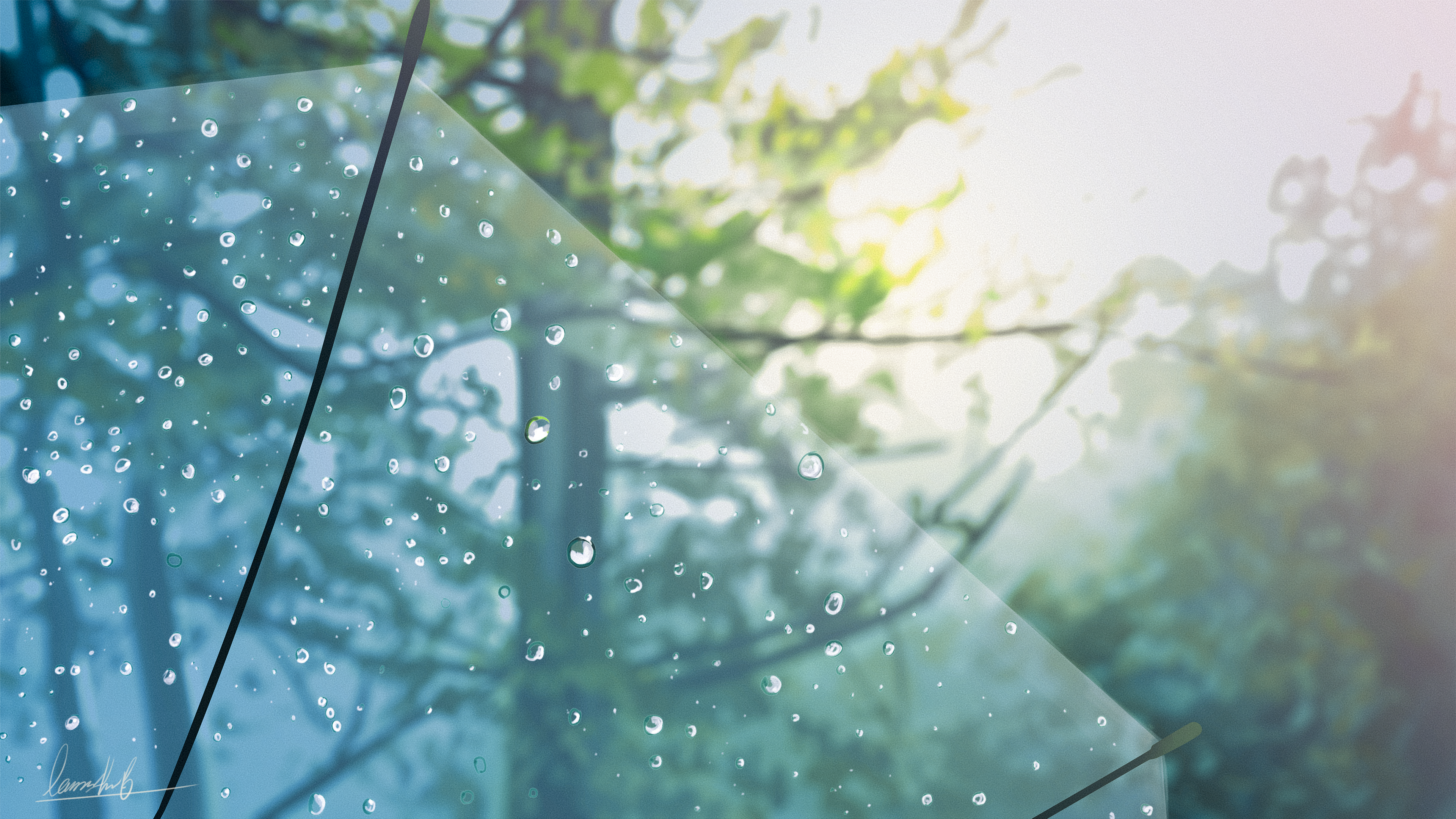 Raindrops on an umbrella with a forest background HD Wallpaper