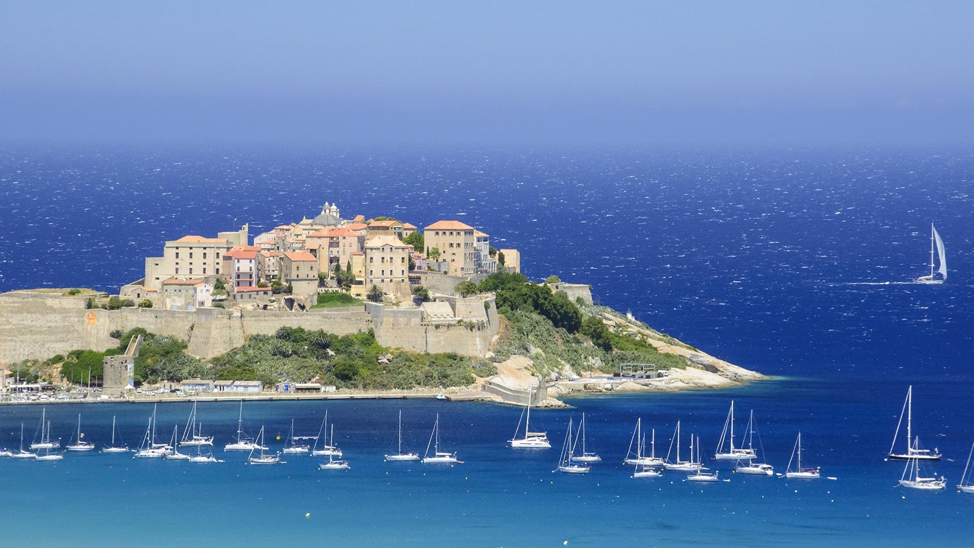 Sailboats in the sea near a coastal town in Corsica HD Wallpaper