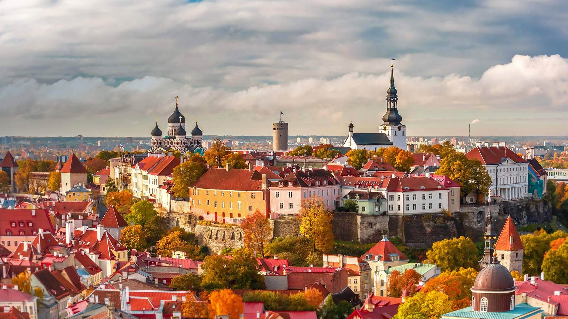 Panoramic view of Tallinn cityscape with colorful buildings and towers HD Wallpaper