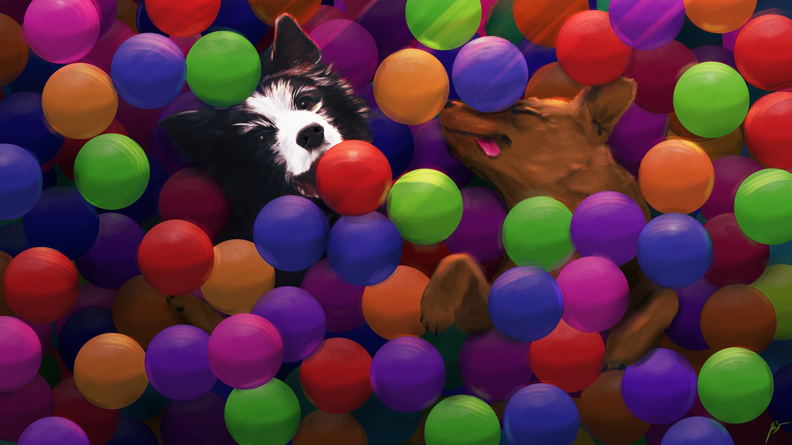 Two dogs playing in colorful balls HD Wallpaper