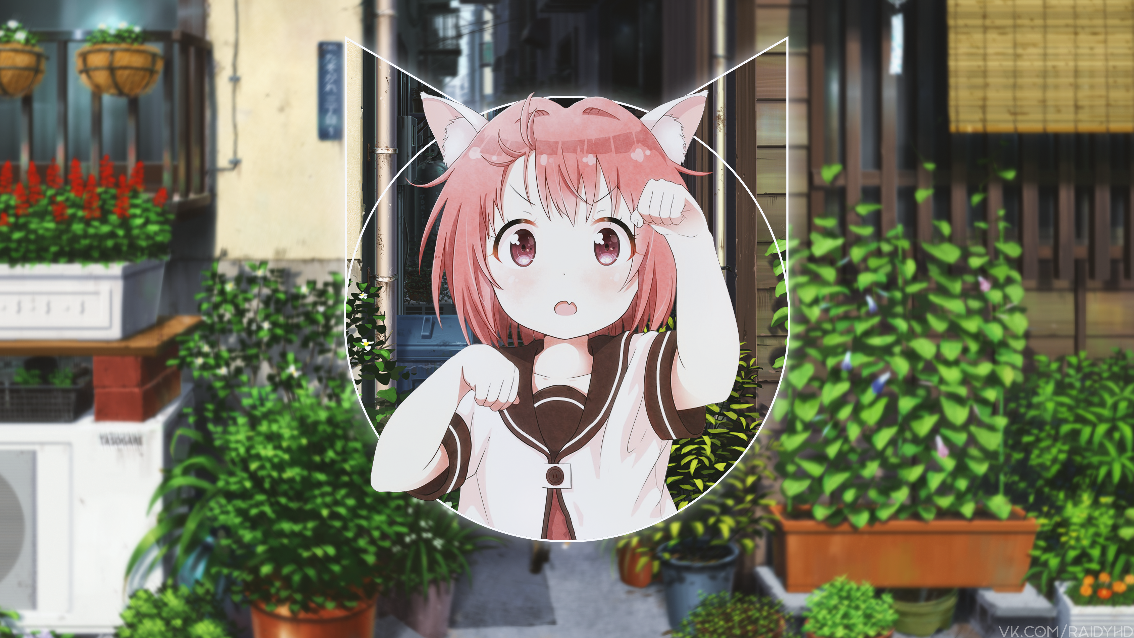 Akaza Akari from Yuru Yuri with Cat Ears HD Wallpaper