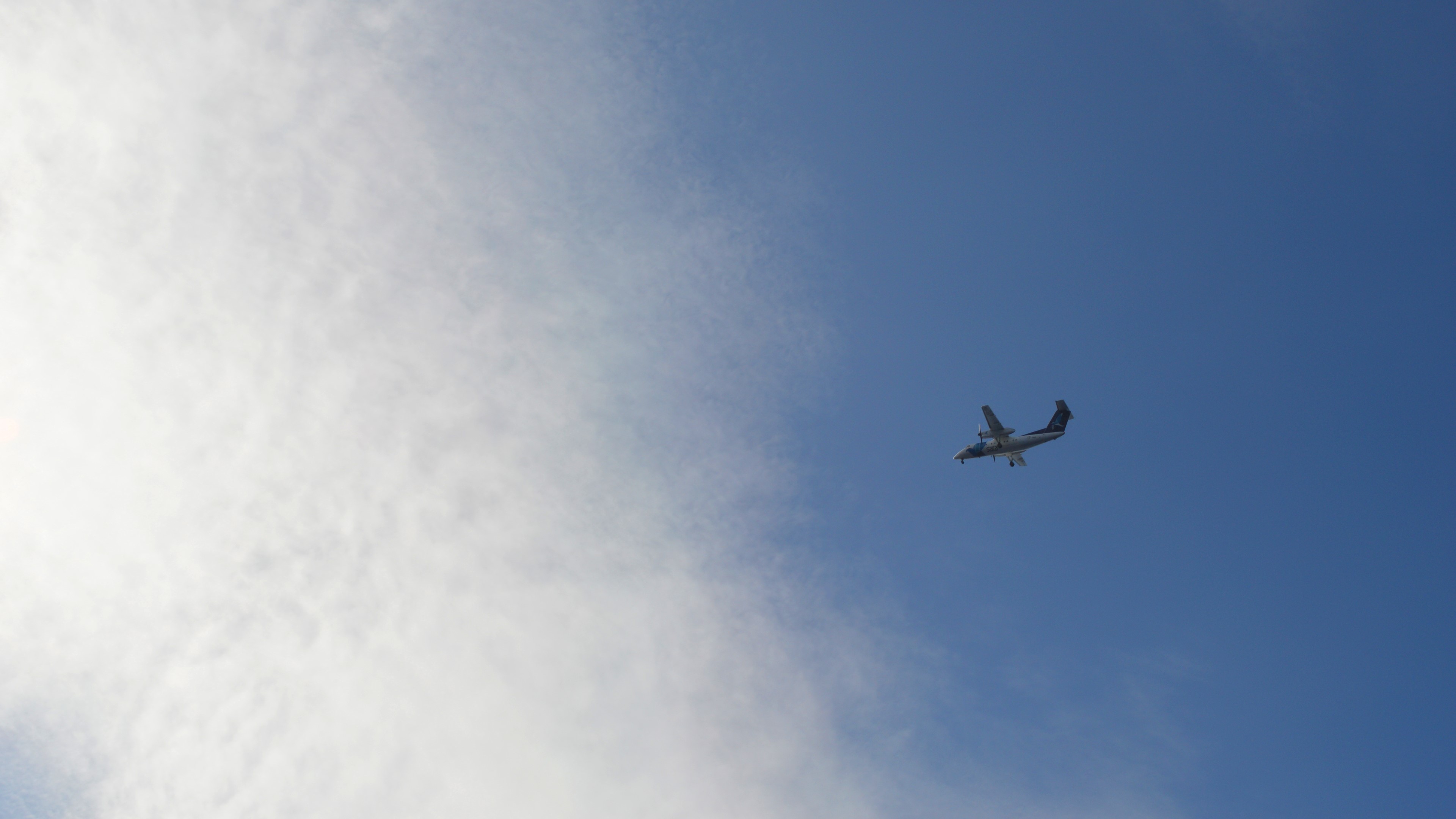 4K De Havilland Dash 8 airplane in the sky HD Wallpaper