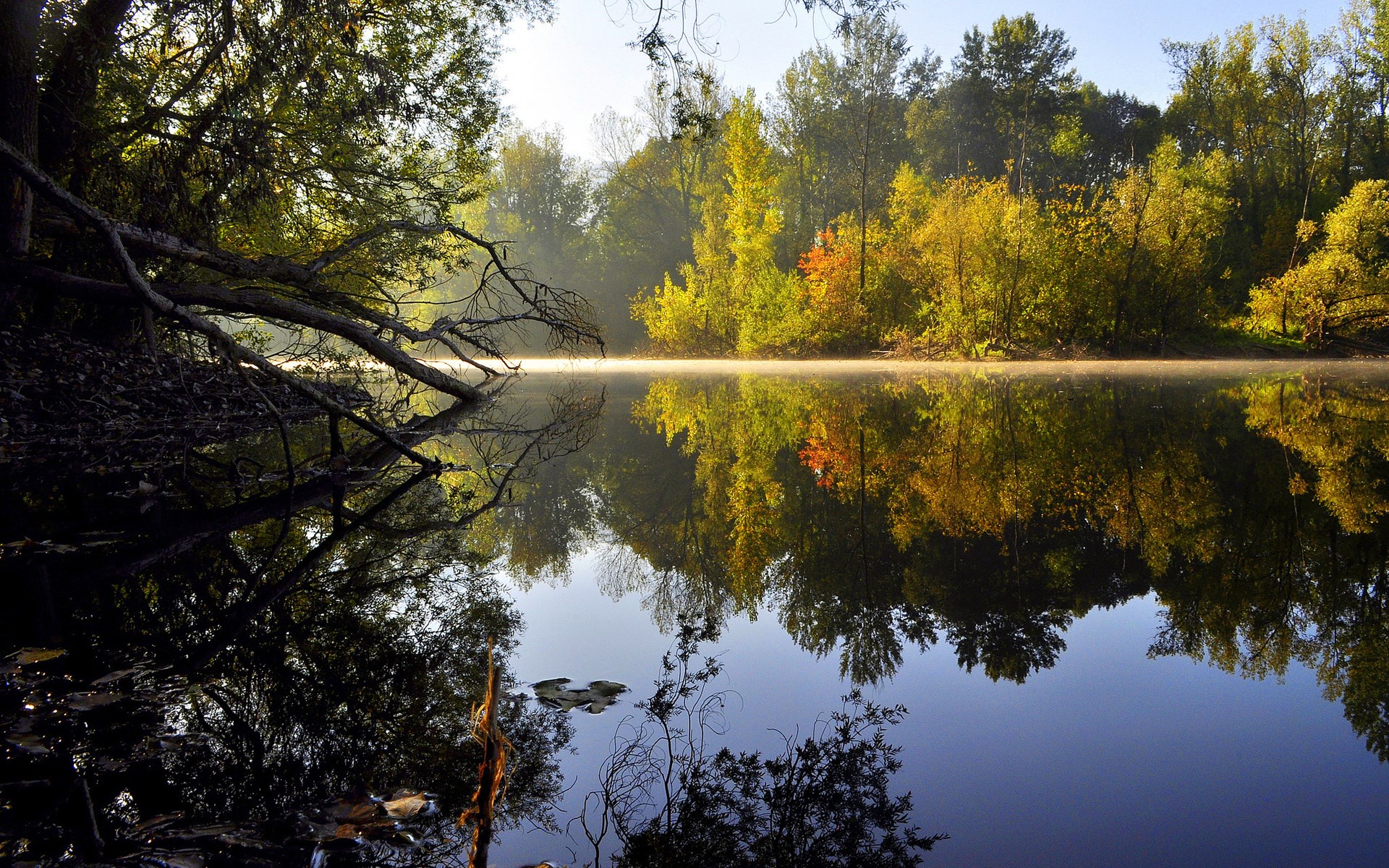 Autumn trees reflected in a misty lake HD Wallpaper