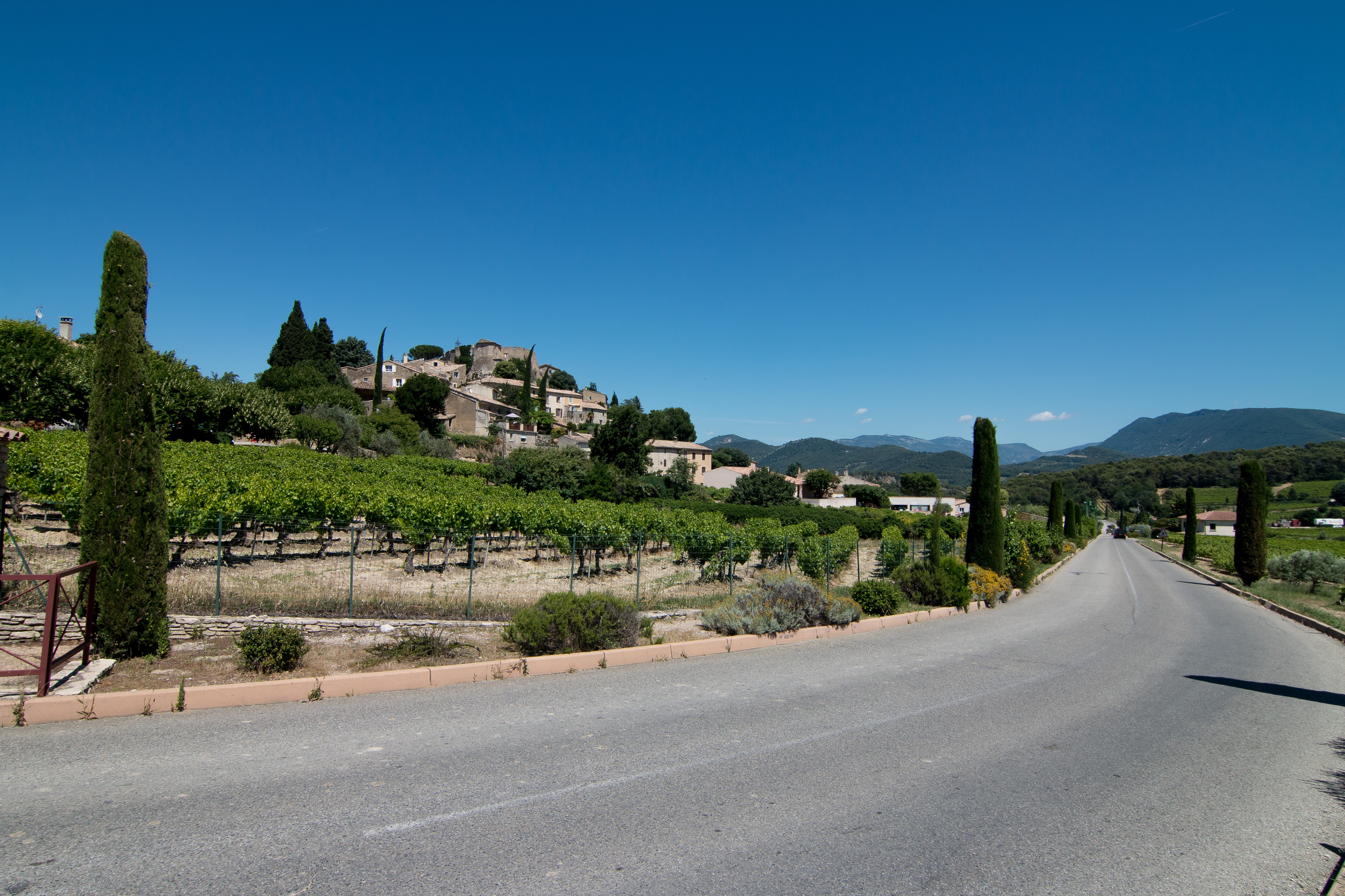 Road leading to a village in France with vineyards HD Wallpaper