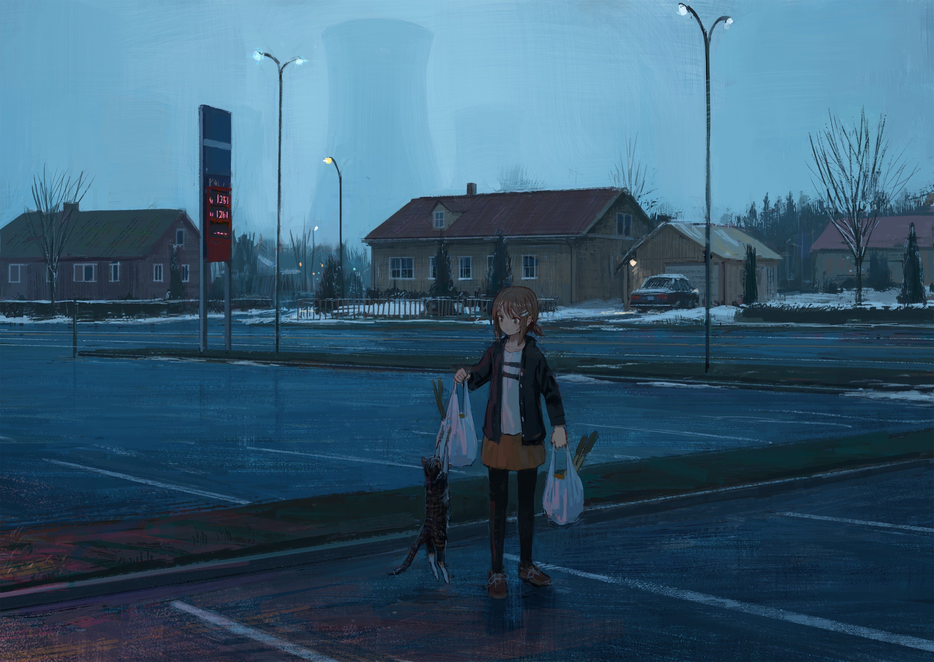 Anime girl with cat and groceries near gas station HD Wallpaper