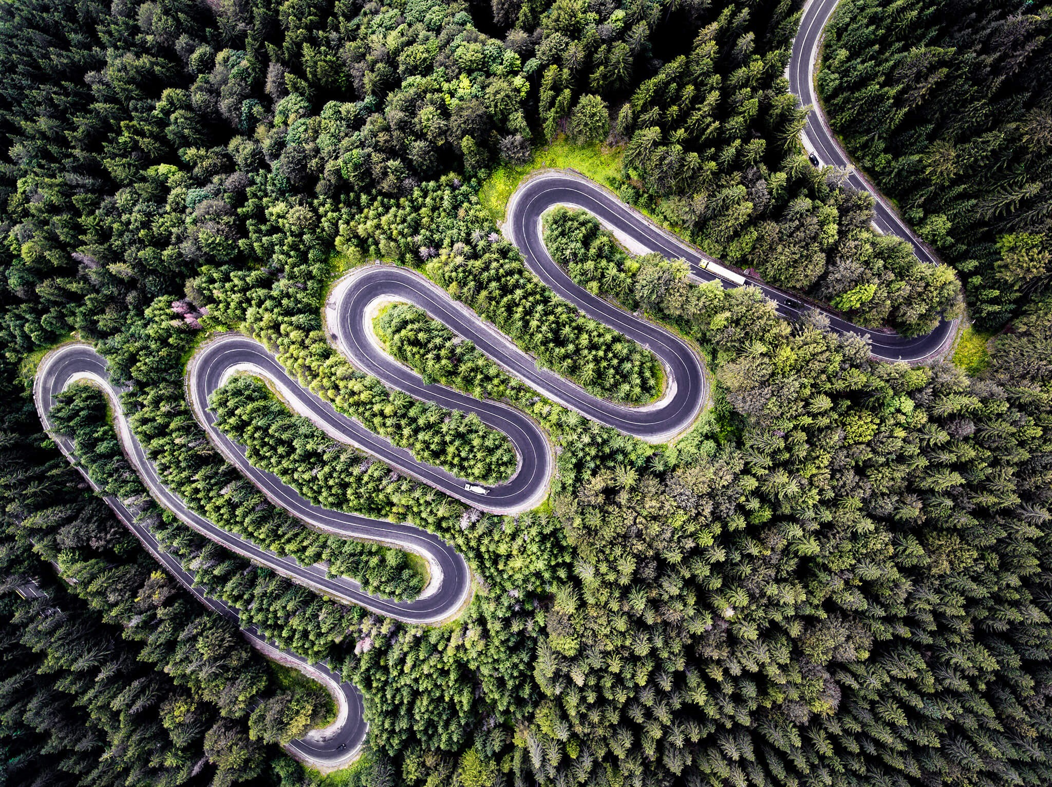 Aerial view of a winding road through a dense forest HD Wallpaper