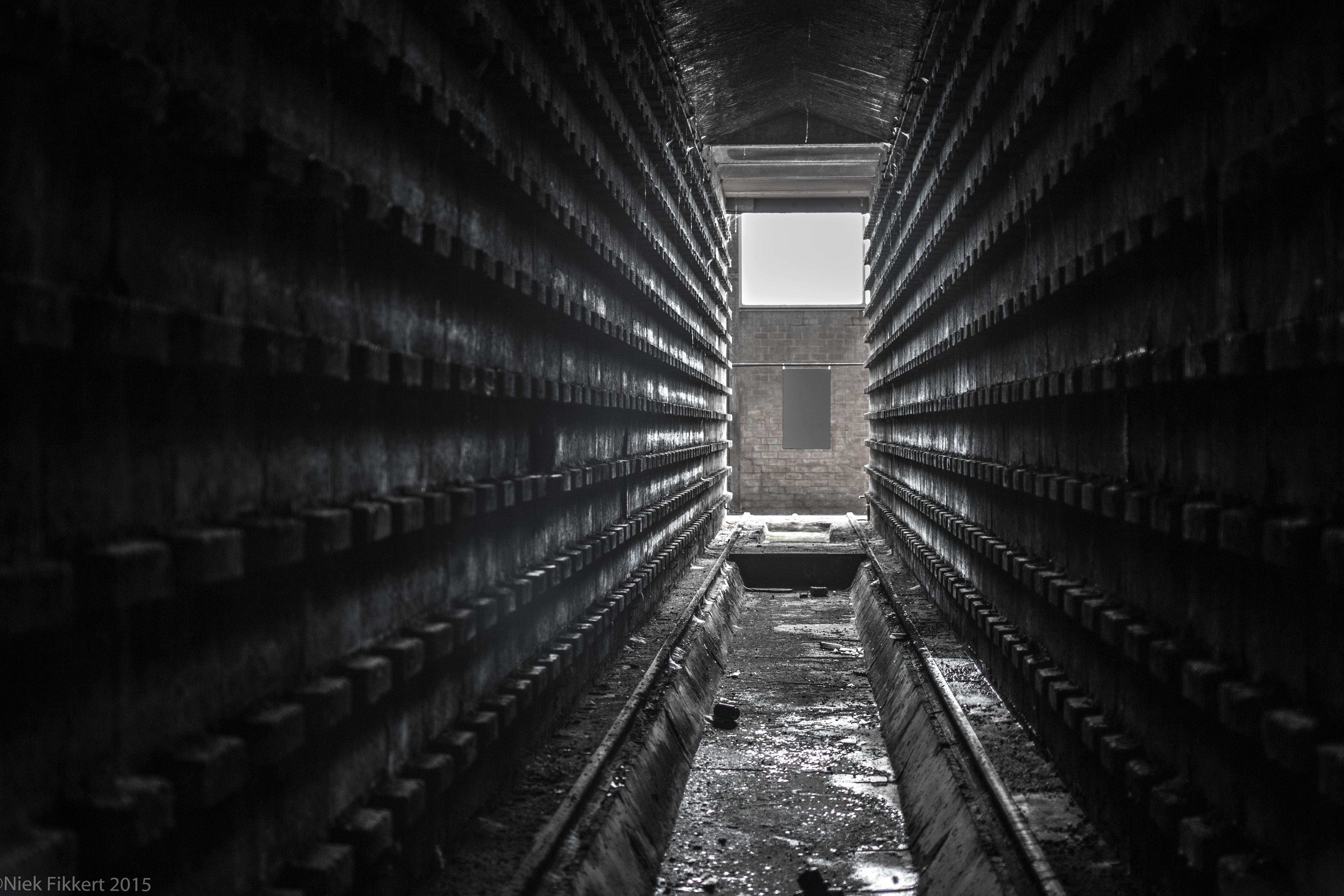 Abandoned factory interior with rows of shelves HD Wallpaper