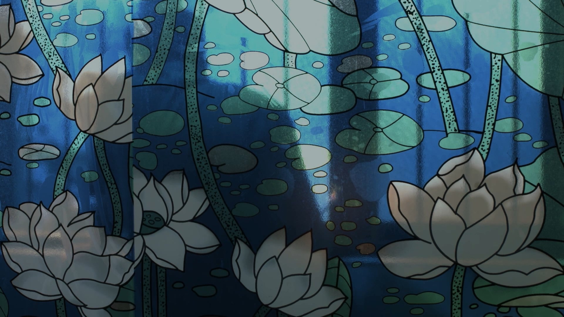 Lotus flowers on a blue background HD Wallpaper